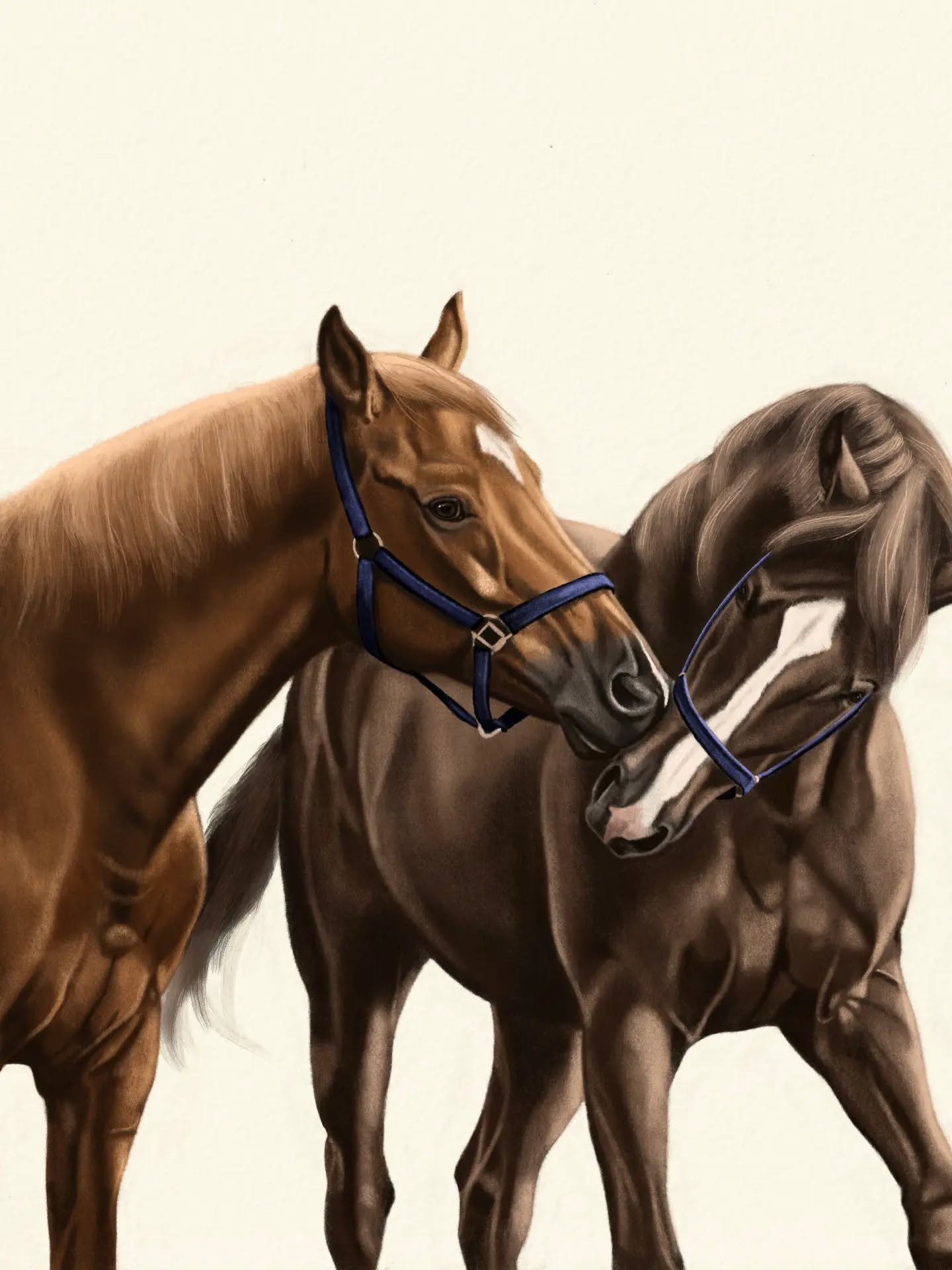 Another collection added to my ‘modern classic old money’ theme: the Clean Aesthetic collection, one that is focused on artworks of horses with white backgrounds where the negative space makes the statement, combined with soft yet playful compositions, like this chestnut and liver chestnut colored Thoroughbreds.
What kind of compositions would you like to see in this style?
#sporthorse #sporthorses #horseart #thoroughbreds #thoroughbred