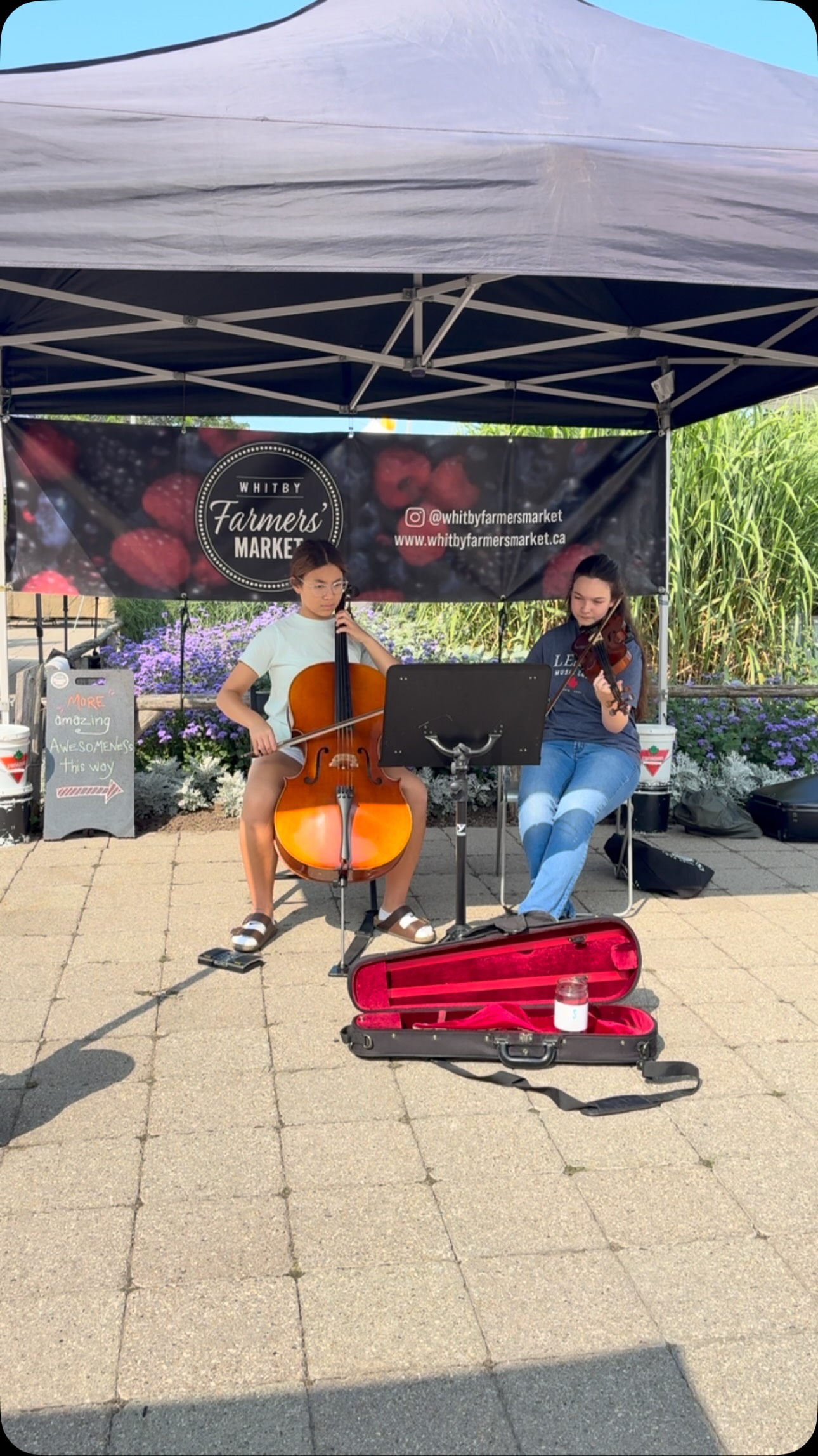 Today at the market 💚
Kassiani #celticfiddle #cello