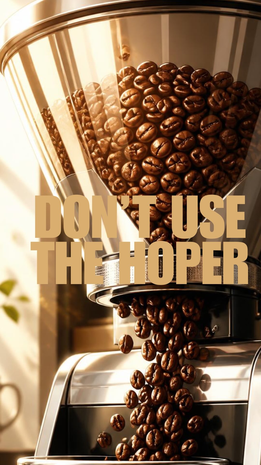GEAR & SETUP, ep 05 - DON’T USE THE HOPER
Ne mets plus ton café dans le bac à grains si tu veux pas qu’il devienne mauvais.
Laisser le café dans le bac à grains accélère le dégazage et il subit les changements de température…
Pour avoir un café toujours frais:
1. pèse uniquement la dose dont tu as besoin pour un espresso (18g pour 36g de liquide)
2. garde ton café dans une boîte hermétique à l’abri de la lumière
#onecupatadiviso
#coffeeaddict #coffee #brewing