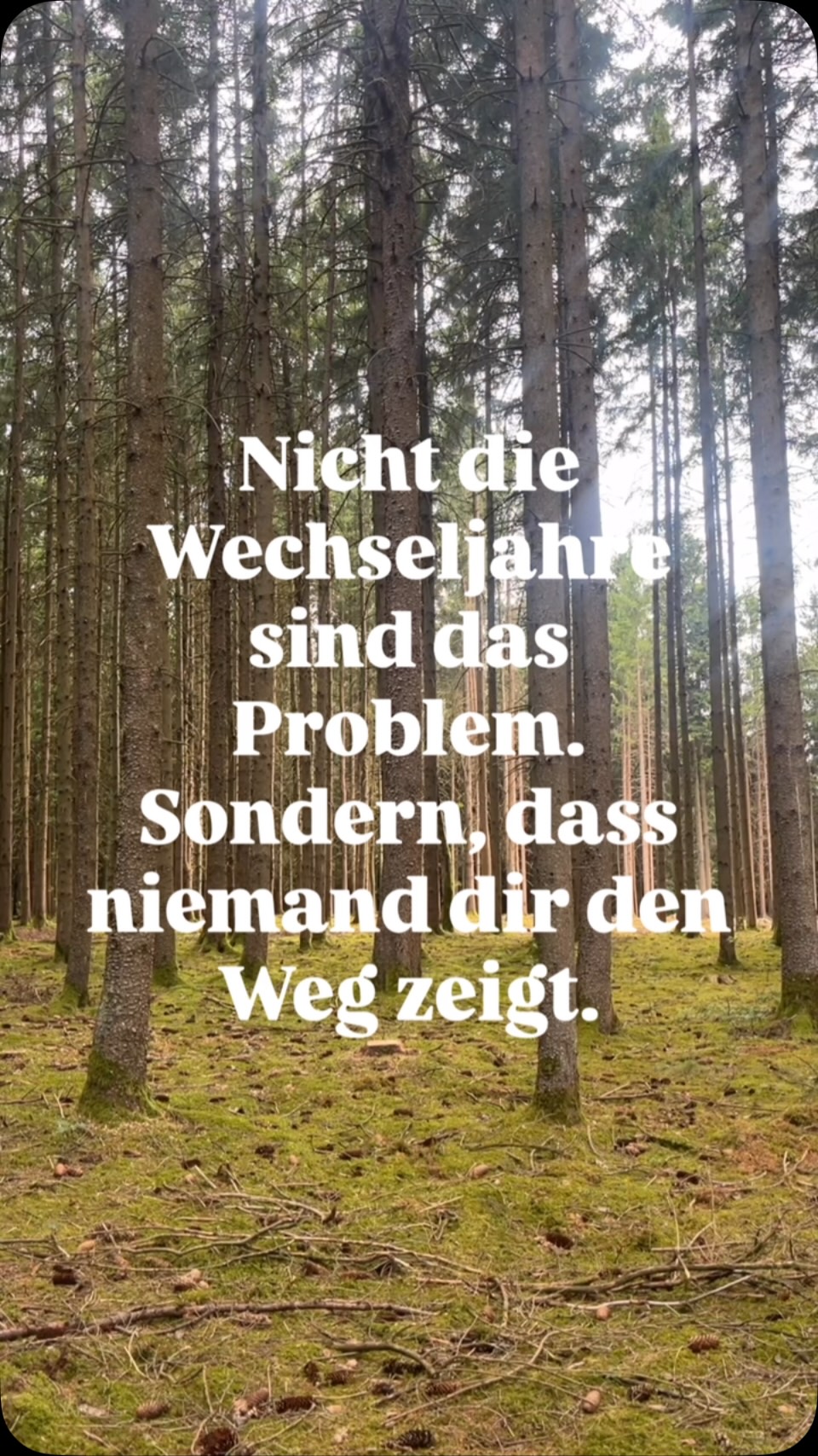 Manchmal sind es nicht die Wechseljahre, die uns den Weg versperren.
Sondern all die Mythen.
Die Angstmacherei.
Das Schweigen.
Und das Gefühl, mit allem allein zu sein.
Genau deshalb gibt es MENOMIO.
Kein Podcast, der dir erzählt, wie schlimm alles wird.
Sondern einer, der dir Wissen, Perspektiven und echte Geschichten schenkt. Damit du deinen eigenen Weg durch die Wechseljahre findest.
🌲 Denn manchmal reicht ein neuer Blickwinkel, um den Wald wieder zu sehen.
🎧 Hör rein in MENOMIO – Der Podcast für glückliche Wechseljahre.
Und wenn du jemanden kennst, der gerade den Wald vor lauter Bäumen nicht sieht: Schick ihr dieses Reel. 🧡🩷
#wowstattwäh #glitzernstattschwitzen #glücklichewechseljahre