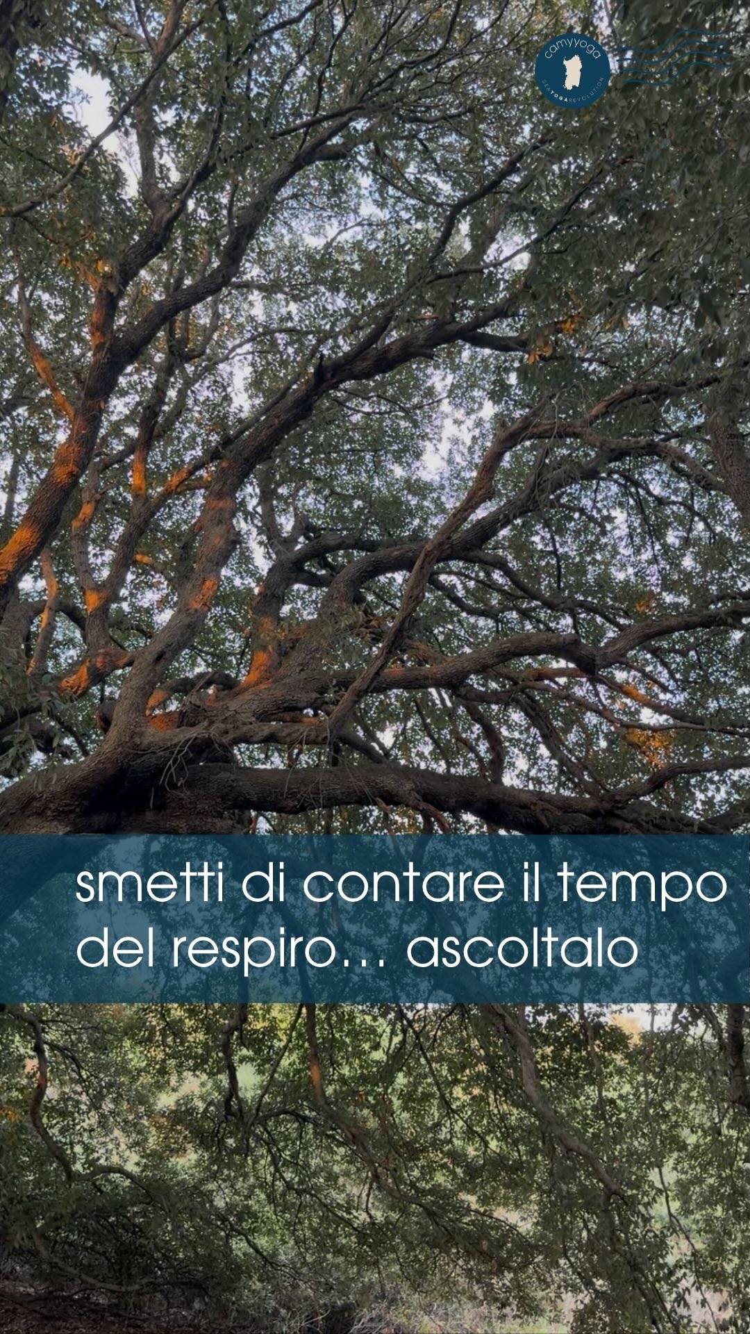 Tutto vibra, tutto ha un ritmo. Dall’origine dell’universo al moto dei pianeti, dall’alternarsi di giorno e notte ai cicli delle maree. E così anche il tuo Respiro.
Portare il soffio vitale in armonia con questo ritmo è ciò che lo Yoga chiama Prāṇāyāma, una pratica millenaria capace di dirigere la forza vitale.
Da anni, Mario ed io esploriamo un passo oltre: una ricerca che unisce il Prāṇāyāma alla vibrazione profonda del suono, lasciando che il respiro e le frequenze sonore della natura dialoghino fino a diventare un’unica esperienza.
Questo è EXCALIBUR ⚔️ La Forza del Respiro.
Sei pronto a scoprire cosa accade quando il Respiro incontra la vibrazione della Terra?
Excalibur – La Forza del Respiro
Prossimo appuntamento domenica 16 agosto
• Secret Escape • Rena Majore
Prenota ora. I posti sono limitati per custodire un’esperienza intensa e profonda. Com’è lo Yoga.
#seayogarevolution #yoga #pranayama #sound #spiritualjourney
Onorati per le riprese d’autore di @elen.venezia 🤩