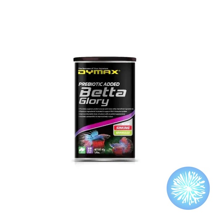 Morning feeding time across five tanks—and each betta gets their own fresh bottle.
Dymax Betta Glory Granules come as 24 individual 10g portions, so nothing sits open losing quality. High-protein formula keeps your bettas thriving, whether you're running a fishroom or breeding.
#BettaFood #AquariumNutrition #FishKeeping #BettaCare #FreshwaterFish