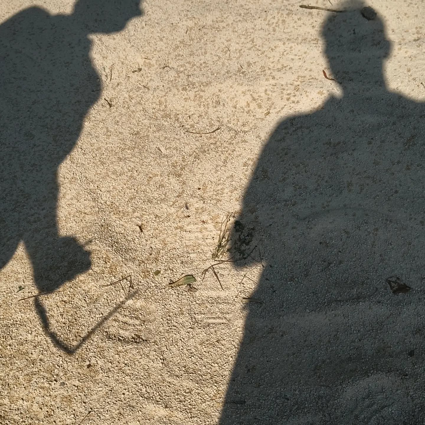 Le piccole cose nascono al buio.
Da un'idea che cammina nell'ombra, finché non trova la luce.