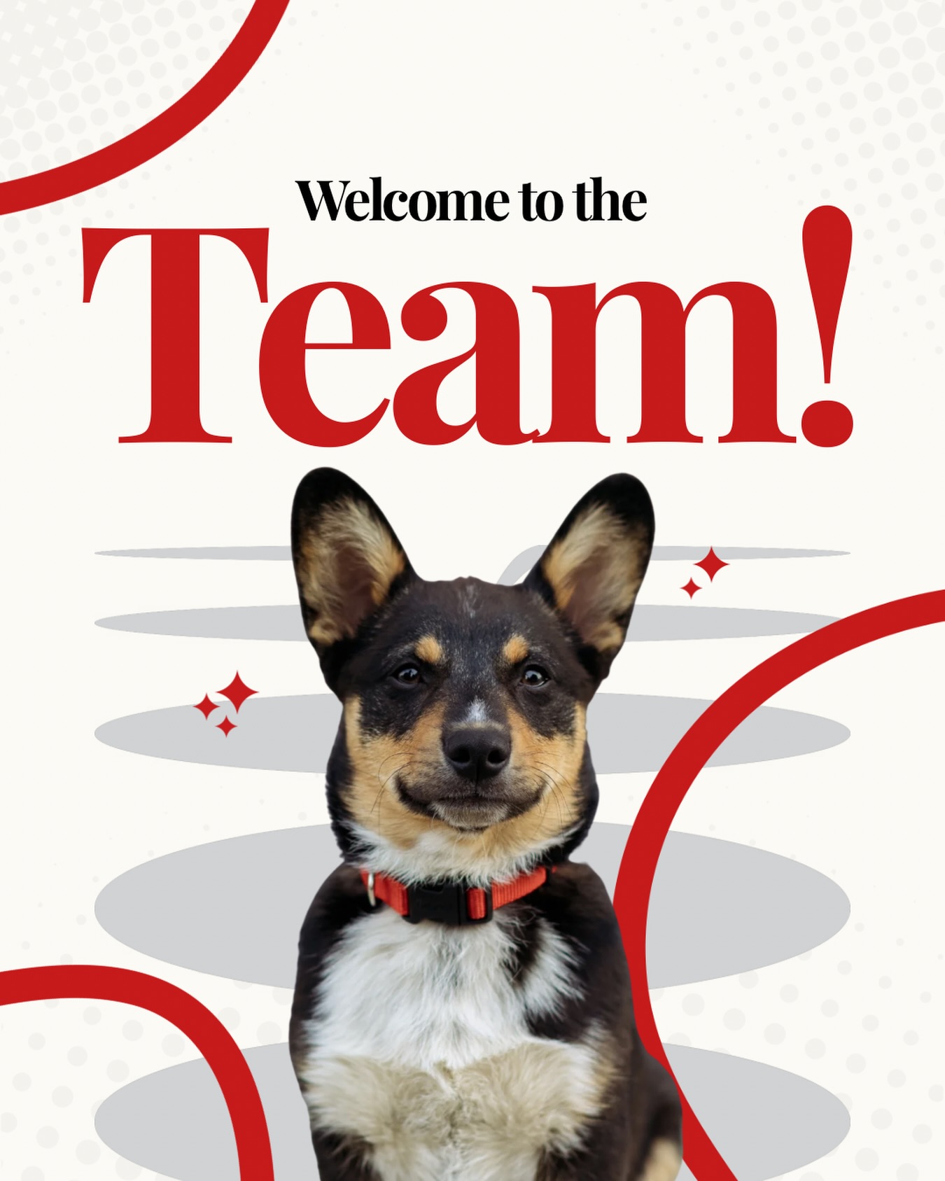 Meet the newest member of the team!
You might’ve seen this little guy pop up in our stories a couple of weeks ago, but it’s time for a proper introduction…
This is Bear! ❤️
He’s officially our newest team member and is currently learning the ropes from Jake. So far, he’s doing a pretty great job—especially when it comes to looking cute. We’re excited to have him along for the ride and can’t wait to watch him grow!
#kamloops #kamloopsbc #supportlocal #kamloopsbusiness