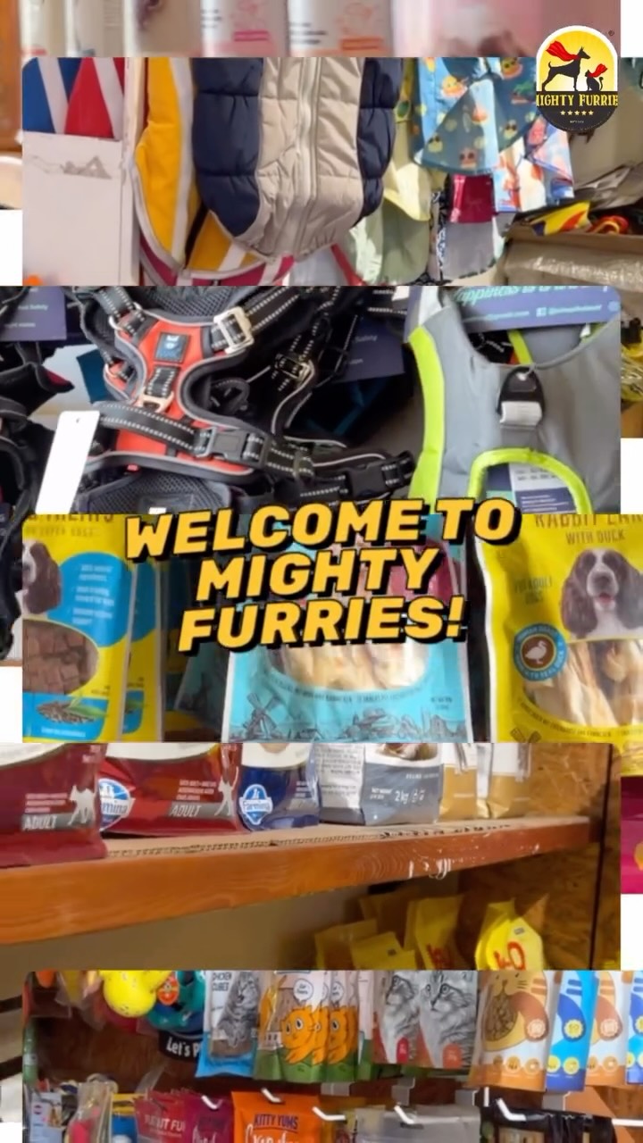 Step into a world where every wagging tail, happy purr, and playful paw matters. 🐶🐱💙
Welcome to Mighty Furries – Premium Pet Store & Grooming Center, your one-stop destination for everything your furry companion needs under one roof. 🐾✨
From premium pet food and treats to toys, accessories, healthcare essentials, and professional grooming services, we’re here to make pet parenting easier, more convenient, and a lot more enjoyable.
What you’ll find at Mighty Furries:
🛍️ Premium pet products
🛁 Professional grooming services
🐾 Expert guidance & pet care advice
🚚 Free home delivery on pet essentials
💙 A team that genuinely cares for every pet that walks through our doors
Whether you’re a first-time pet parent or a lifelong animal lover, you’ll always find quality products, trusted care, and friendly faces ready to help.
Come visit us, explore our store, and experience why so many pet parents trust Mighty Furries for their pets’ everyday needs. 🐶🐱❤️
📍 Mighty Furries – Premium Pet Store & Grooming Center
📞 089284 84878
We can’t wait to welcome you and your furry family! 🐾✨
#MightyFurries #PetStore #PetGrooming #DogCare #CatCare