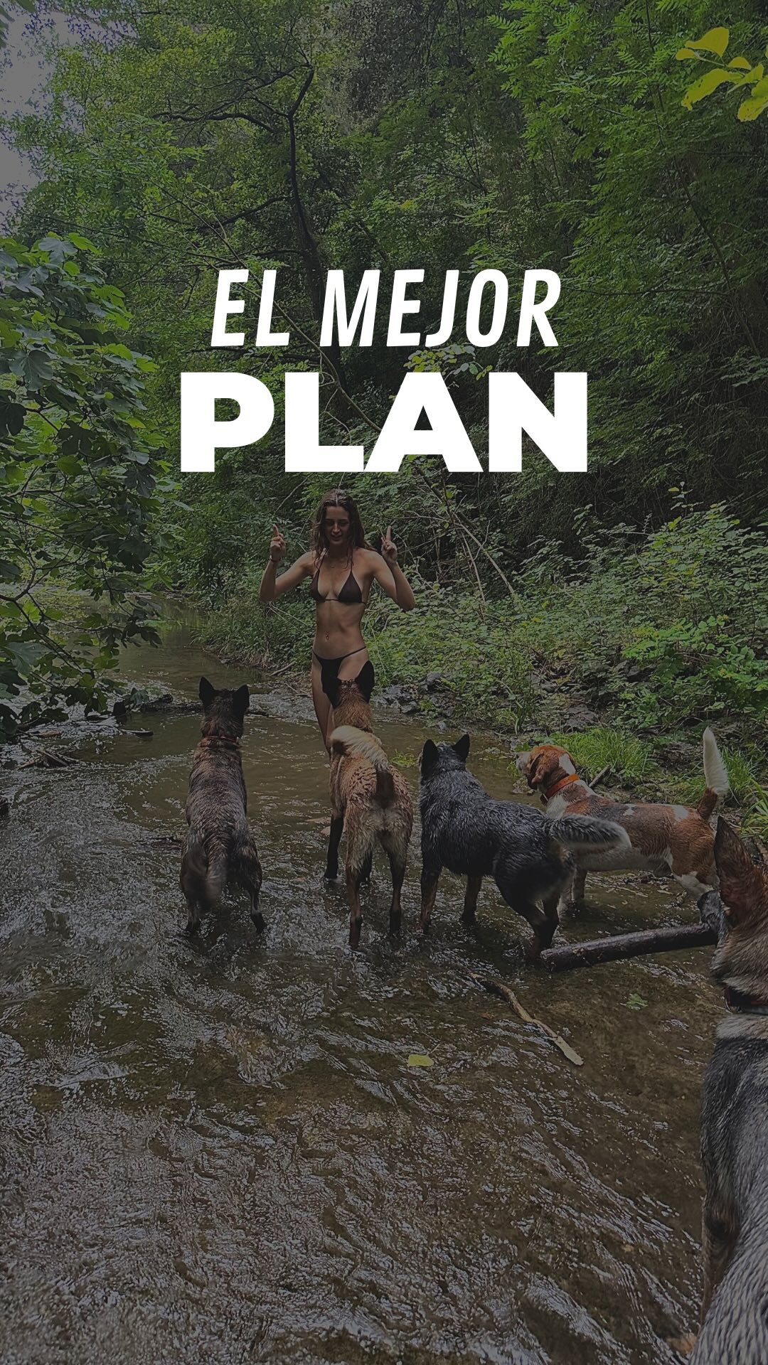 ¿El mejor plan para tu perro? Un viernes al río💦
Una excursión pensada para que puedan socializar con otros perros, explorar nuevos entornos y quemar energía en plena naturaleza... ¡y así volver a casa felices y cansados!😴(Y si no, que se lo digan a Nina)🤣
¿Cómo nos organizamos?
🚚 Recogida y entrega en la puerta de tu casa.
📍 Zonas: Maresme y Vallès.
⏰ Cuándo: Todos los viernes de 7:30h a 12:30h.
👥 Grupos reducidos: Máximo 8 perros acompañados siempre por 2 educadores caninos.
📲 Recuerdos: Te enviamos fotos y vídeos para que veas cómo disfruta.
*Realizamos una valoración previa para garantizar la compatibilidad y seguridad del grupo.
¿Quieres que tu perrete se una al próximo grupo?💛
📩 Comenta "RÍO" en este vídeo y te enviamos toda la información por privado.
~
#dogtraining #perrosfelices #socializacioncanina #maresme #senderismoconperros