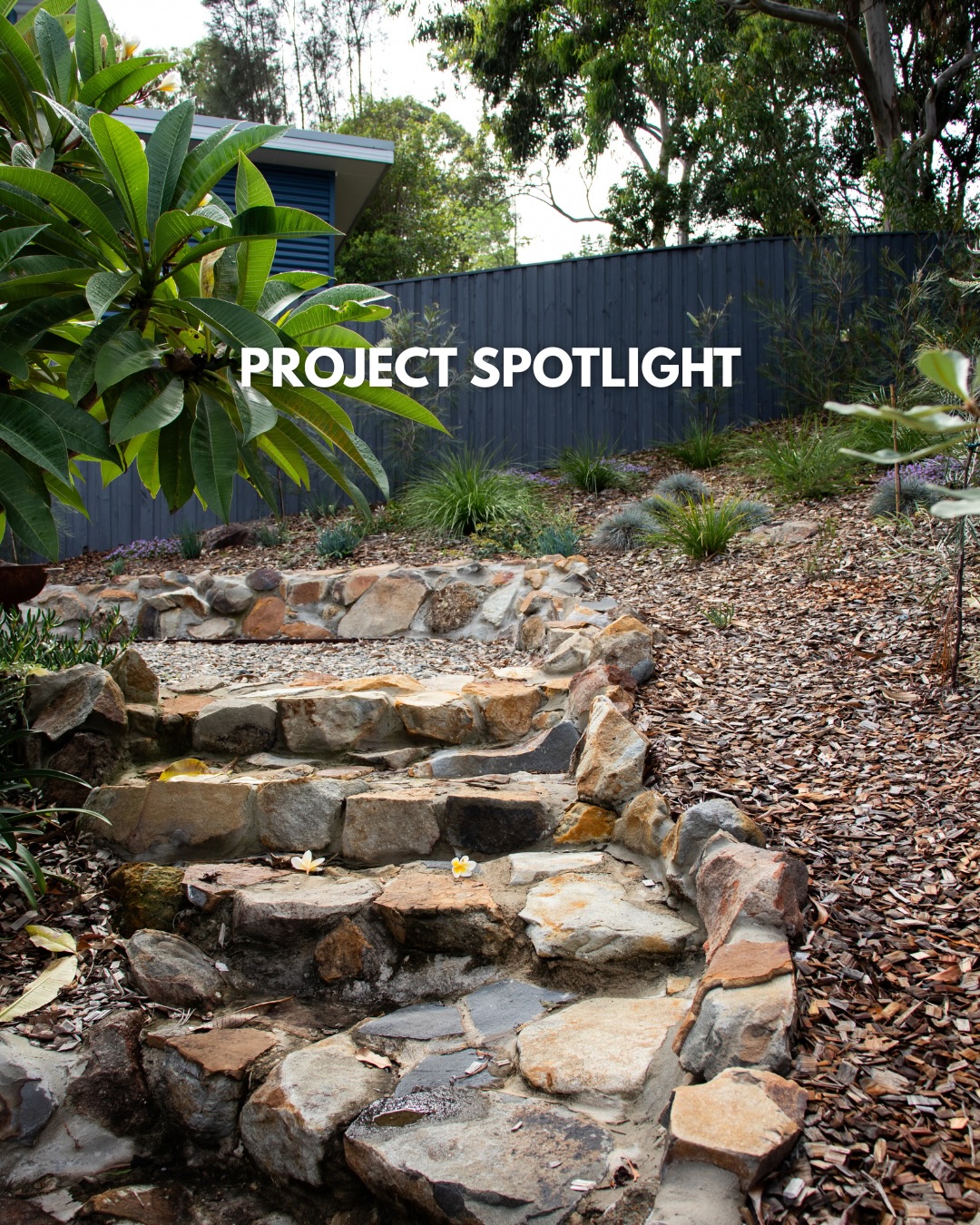 This project started with a steep, underutilised backyard that had plenty of potential but needed the right approach to unlock it.
By combining a timber retaining wall, natural stone steps, a fire pit area and native Australian planting, we created a space that feels both functional and connected to its surroundings. Every material was chosen with longevity, practicality and timeless design in mind.
Thinking about transforming your own backyard? We’d love to help bring your vision to life.
#macleayvalleylandscapes #projectspotlight #native #naturalmaterials