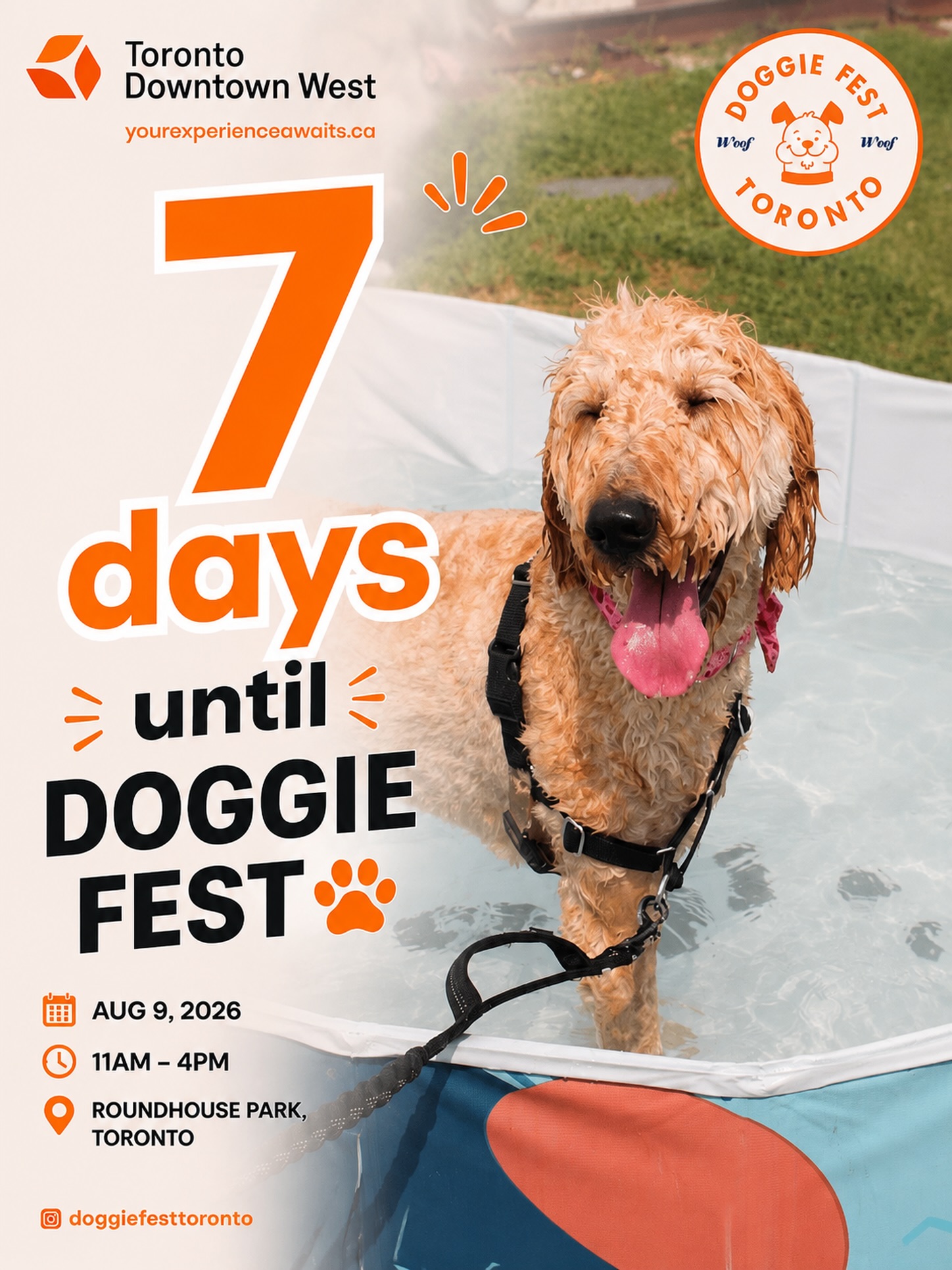 💦🐾 ONLY 7 DAYS UNTIL DOGGIE FEST! 🧡
One more week until Toronto’s biggest dog festival! 🎉
Get ready for a tail-wagging day filled with:
🐶 40+ local pet vendors
🎶 Live music & DJ
📸 FREE pet portraits
🎨 FREE caricatures & face painting
🏃 Agility & lure course
🚂 Mini train rides
🫧 Ball pit, photo ops & more!
Whether your pup loves to splash, play, sniff, shop, or make new furry friends, Doggie Fest is the place to be this summer! ☀️
📅 August 9, 2026
🕚 11:00 AM – 4:00 PM
📍 Roundhouse Park, Toronto
🎟️ FREE Admission
Tag your dog bestie and start the countdown with us! 🐕👇 We can’t wait to see thousands of happy pups in just 7 days! 🧡
#DoggieFest #DoggieFestToronto #TorontoDogs #DogFriendlyToronto #TorontoEvents
