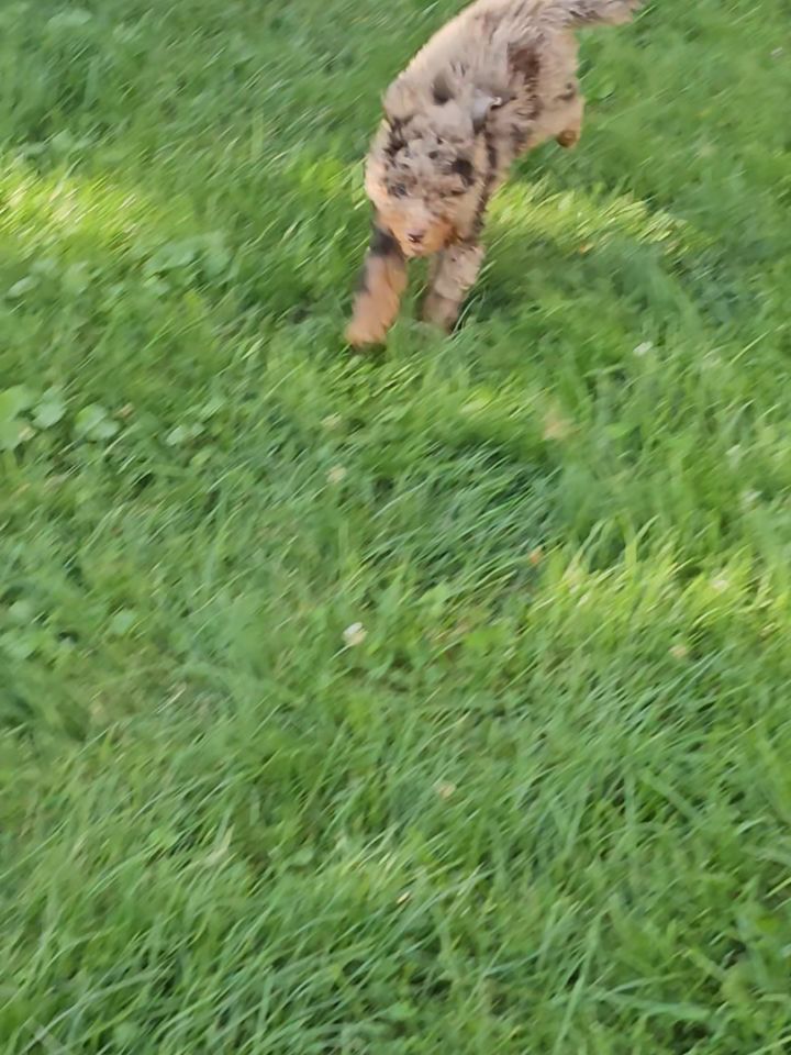 Umbriel 🐾 💕