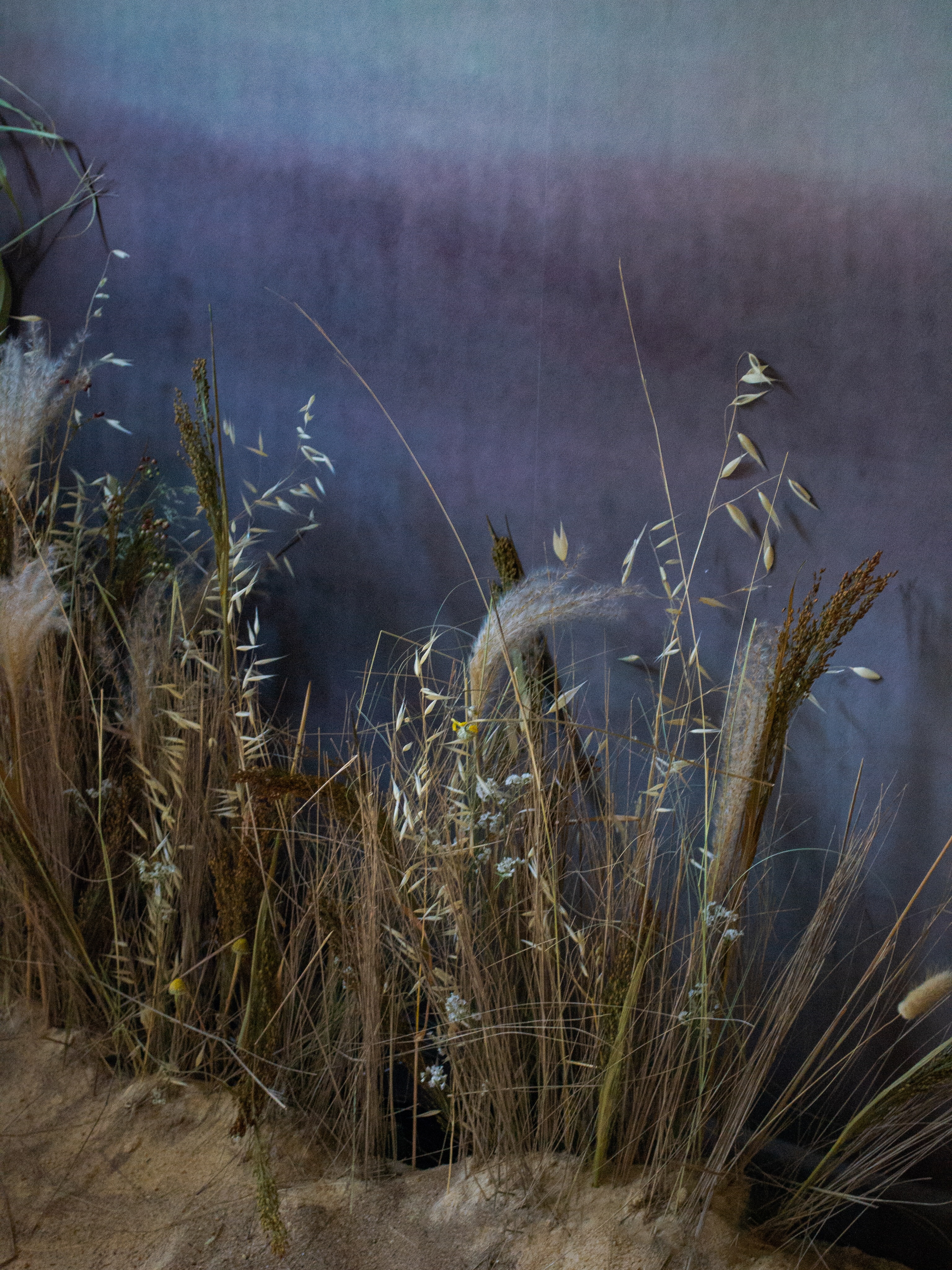 À l’heure d’été… ✨
Il est temps pour la galerie de faire une petite pause estivale.
Nous avons hâte de vous retrouver très bientôt pour vous présenter nos nouveautés.
Bel été 🌿
#artgallery
#artcollector
#artcurator
#setdesign
#interiordesign
