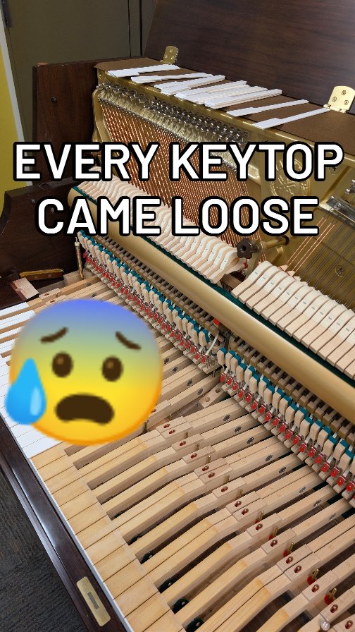 Six hours of careful work, condensed into 20 seconds.
This Yamaha P22 had every white keytop replaced after the original adhesive failed. Slow work, but seeing the finished keyboard makes it worthwhile.
#pianotechnician #lamplightpianoservice