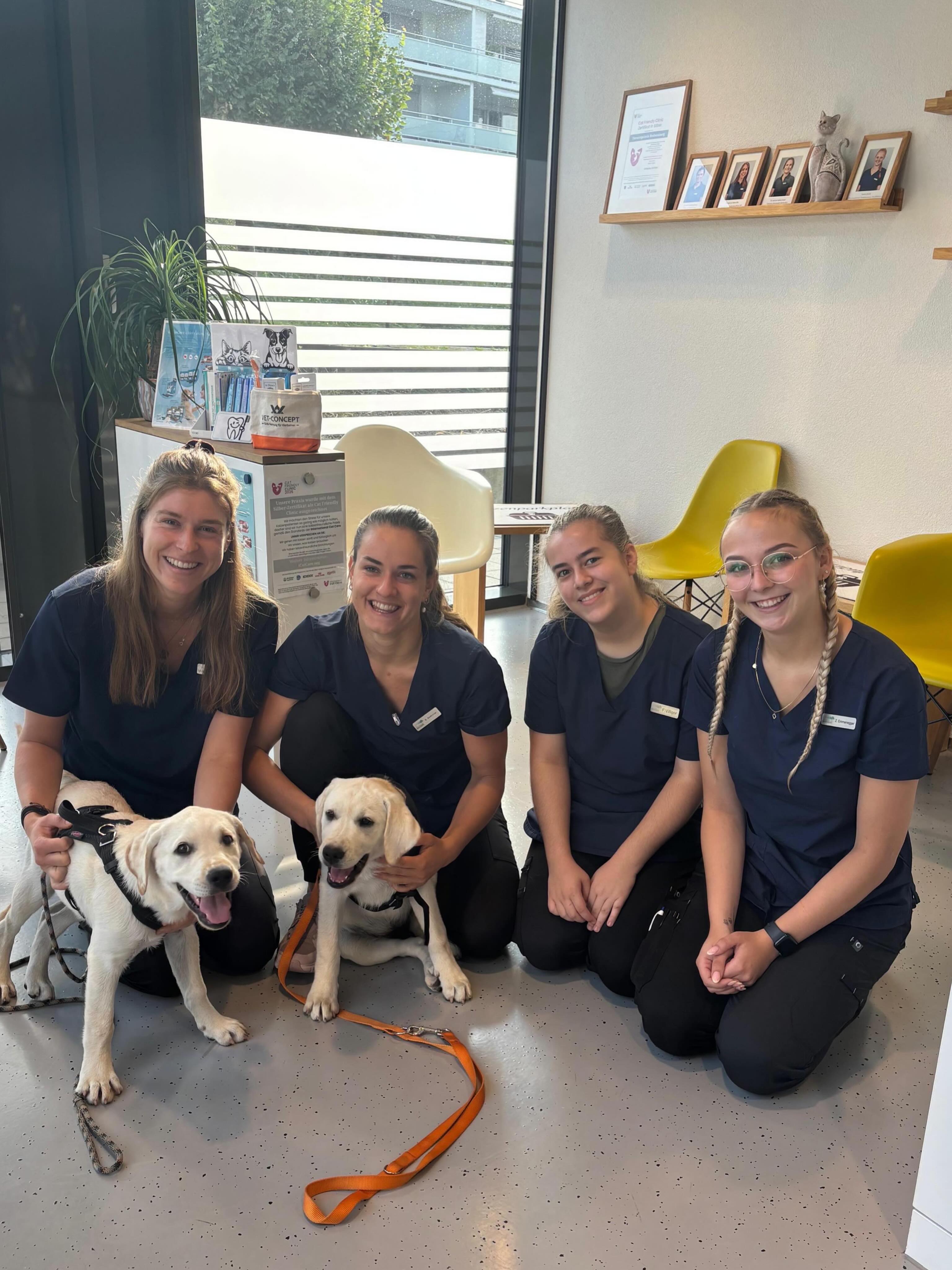 🇫🇷🐾 Bonjour, Amy & Anela! 🐾🇫🇷
Frisch aus Frankreich eingetroffen! Die beiden zuckersüssen Welpen-Geschwister waren bei uns in der @tierarztpraxis_rothenburg für ihren grossen Import-Checkup. 🩺✨
Die zwei tapferen Mädels haben die Untersuchung mit Bravour gemeistert. Jetzt sind sie rundum durchgecheckt, fit und bereit für ihr neues Leben! Da schmelzen selbst unsere Herzen. 🐶❤️
Wir wünschen den beiden einen wundervollen Start im neuen Zuhause!
#hundeglück #frankreich #gesundheitscheck #importcheck #praxisalltag