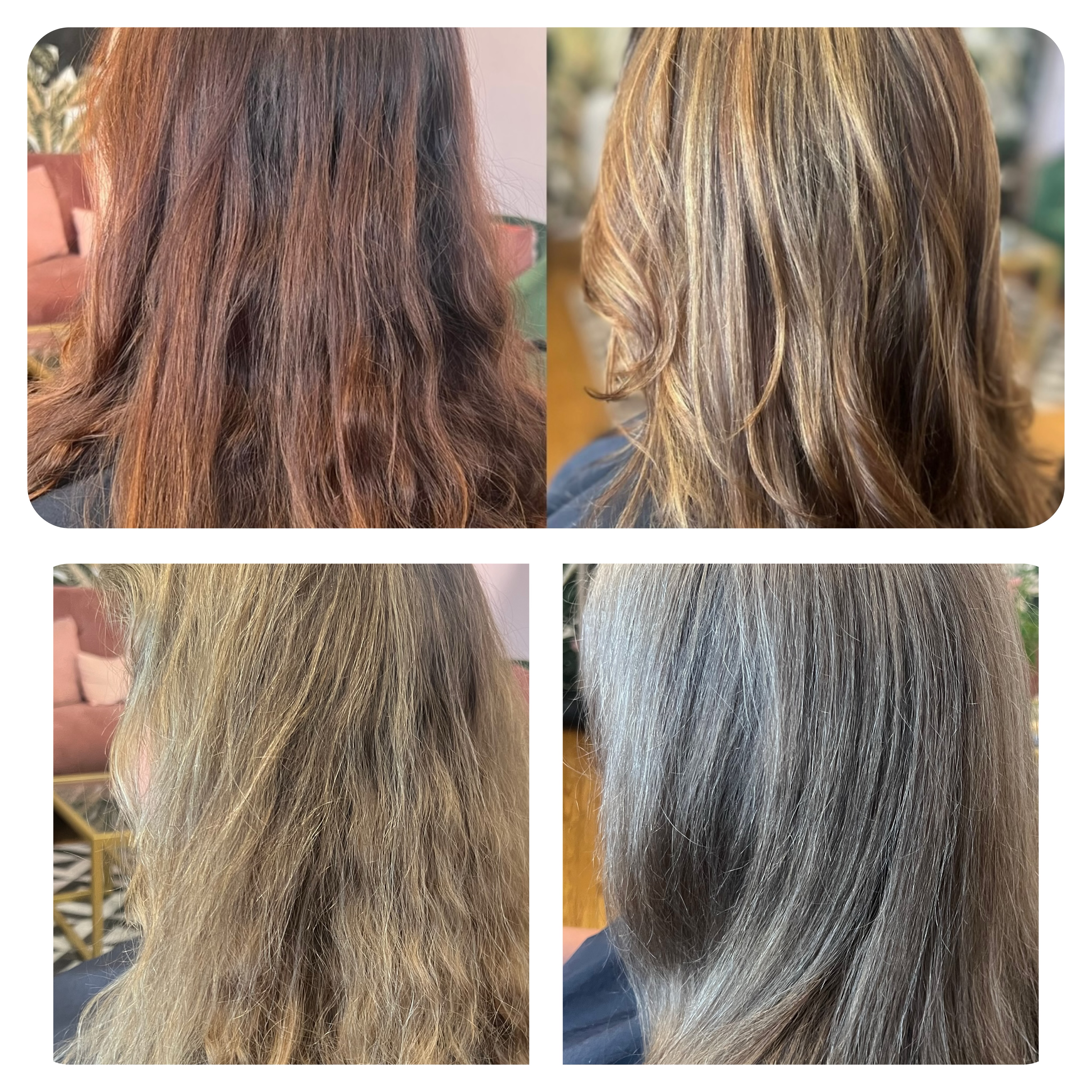 Progression of a grey transition
Top left where we started, bottom right current color.
.
As no two snowflakes are alike, neither are heads of hair. Everyone is different.
.
Every journey is different.
But one thing is constant, I’m here to help you thru, to tweak along the way, to celebrate that final natural blend.