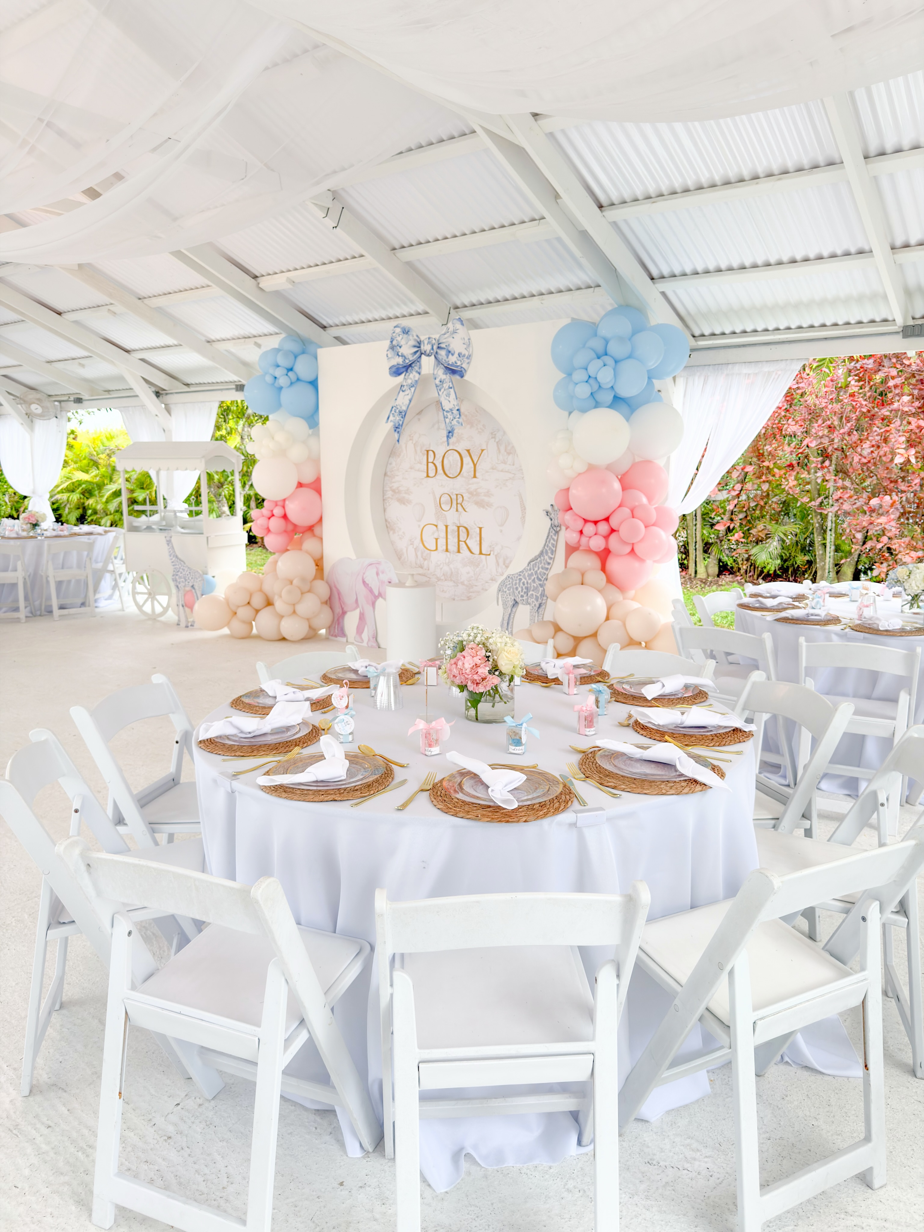 We offer all inclusive gender reveal packages to make your special day stress-free and unforgettable. ππ©· Contact us today, and let us help you plan the gender reveal of your dreams.πβ¨
.
.
.
#genderreveal #genderrevealmiami #miamigenderreveal #genderrevealcenterpieces #miamicenterpieces