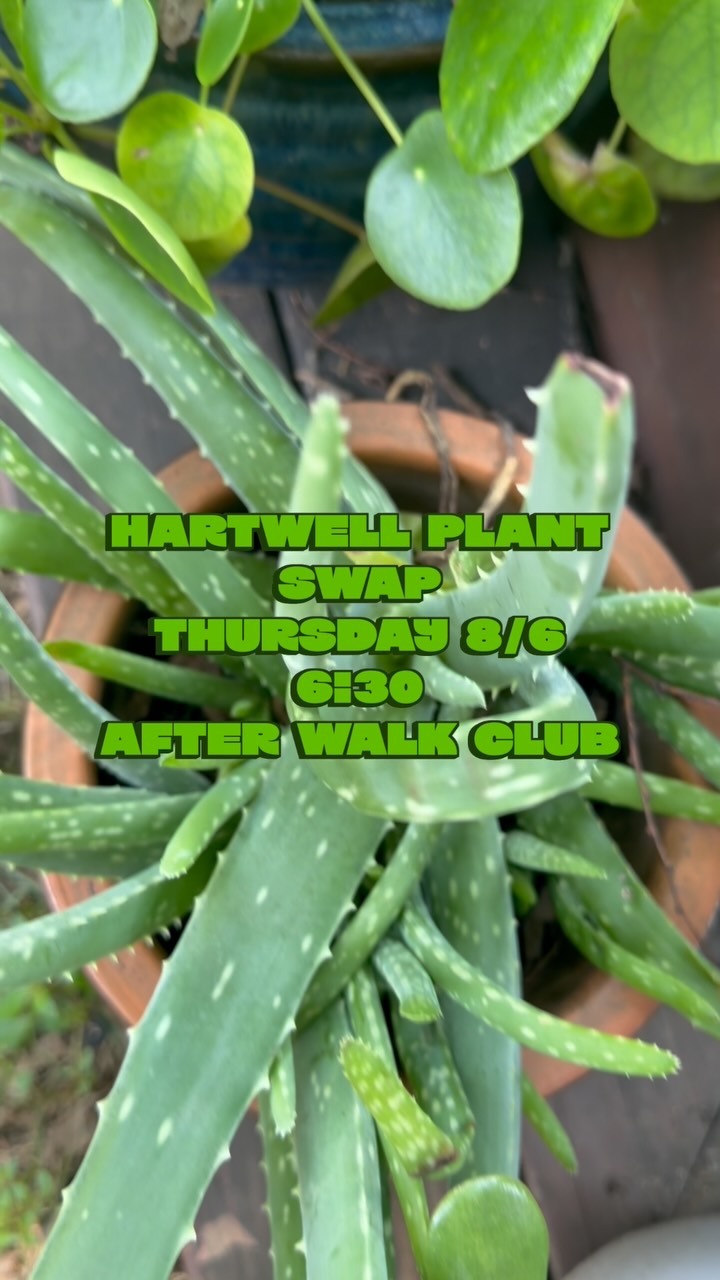 You know how much we love our plants. 🪴
Let’s swap! We’ll have some cuttings and plants to swap this Thursday after walk club!
