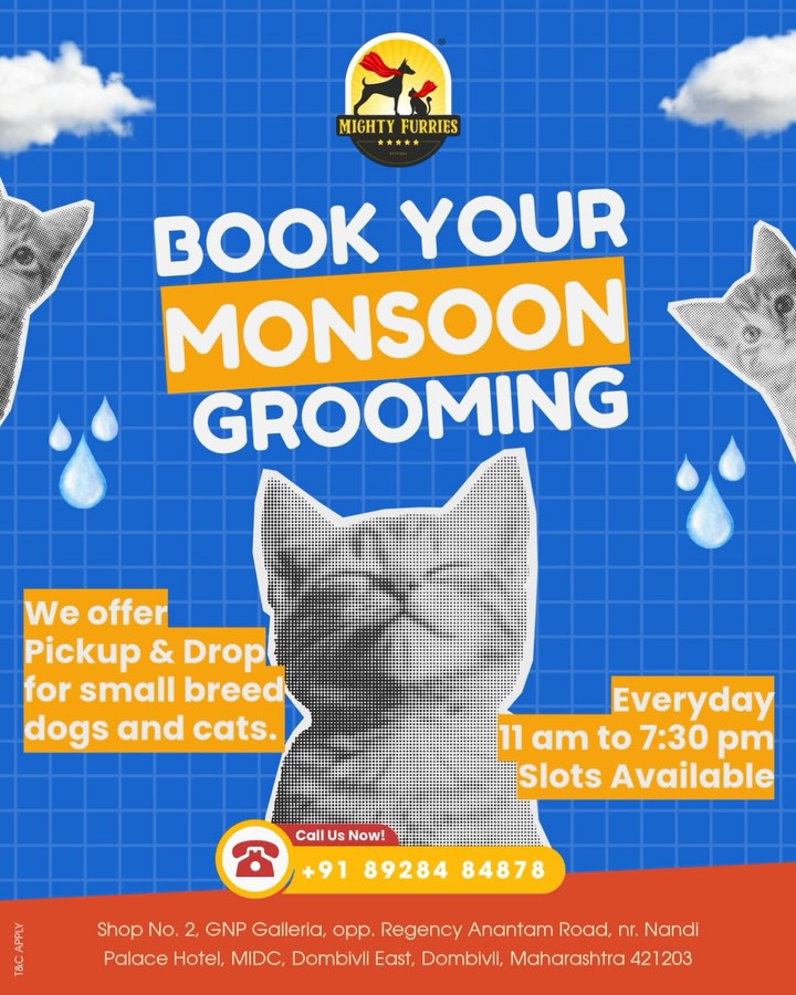 Monsoon is here... and so is the need for a little extra grooming! 🌧️🐶🐱
Rain, humidity, muddy paws, and damp coats can make this season challenging for your pet’s skin and coat health. A professional grooming session helps prevent matting, bad odours, fungal infections, ticks, fleas, and ear problems before they become serious.
Treat your furry friend to complete monsoon care:
🛁 Deep cleansing bath
✨ Coat brushing & de-shedding
👂 Ear cleaning
🐾 Paw hygiene
✂️ Nail trimming
💙 Skin & coat care
Don’t wait until discomfort begins. A regular grooming routine keeps your pet fresh, comfortable, and healthy all season long.
📅 Book your Monsoon Grooming Session today!
📞 Call/WhatsApp: 089284 84878
📍 Mighty Furries – Premium Pet Store & Grooming Center
Healthy coat. Happy pet. Stress-free monsoon. 🐾🌧️
#MightyFurries #MonsoonGrooming #PetGrooming #DogGrooming #CatGrooming