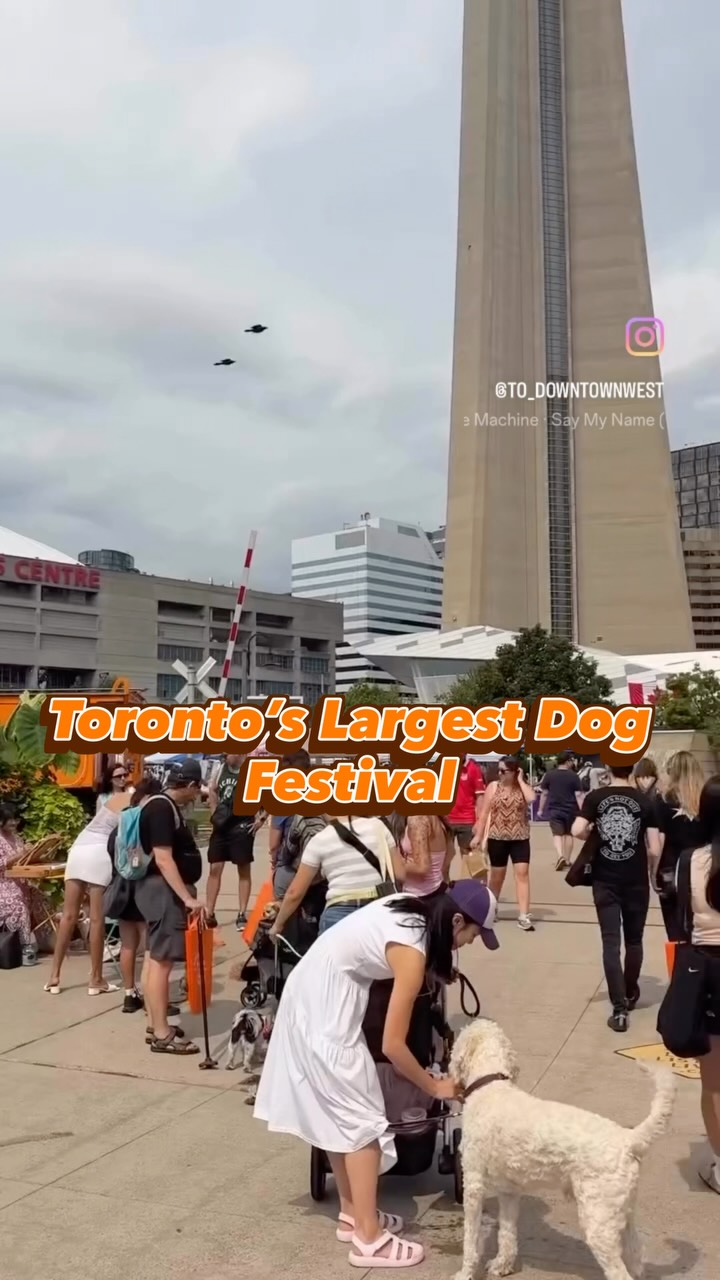 🐶 The countdown is almost over… Doggie Fest is happening THIS SUNDAY! 🎉
Join us at Toronto’s Largest Dog Festival for an unforgettable day with your pup! 🧡
✨ FREE Admission
🐾 40+ Local Pet Vendors
🎶 Live Music & DJ
📸 Free Pet Portraits & Caricatures
🐕 Agility Course, Lure Course & Ball Pit
🚂 Mini Train Rides
🍔 Food & Drinks
…and so much more!
📍 Roundhouse Park, Toronto
🗓️ Sunday, August 9
⏰ 11:00 AM – 4:00 PM
Tag your dog-loving friends and let us know which activity you’re most excited for! 🐕👇
#DoggieFest #DoggieFestToronto #TorontoDogs #TorontoEvents #DogFriendlyToronto