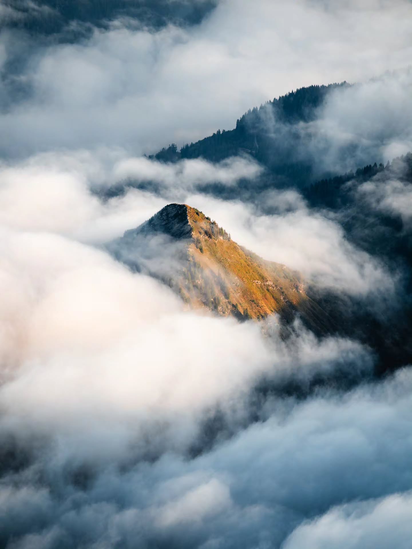 Peak-a-boo!