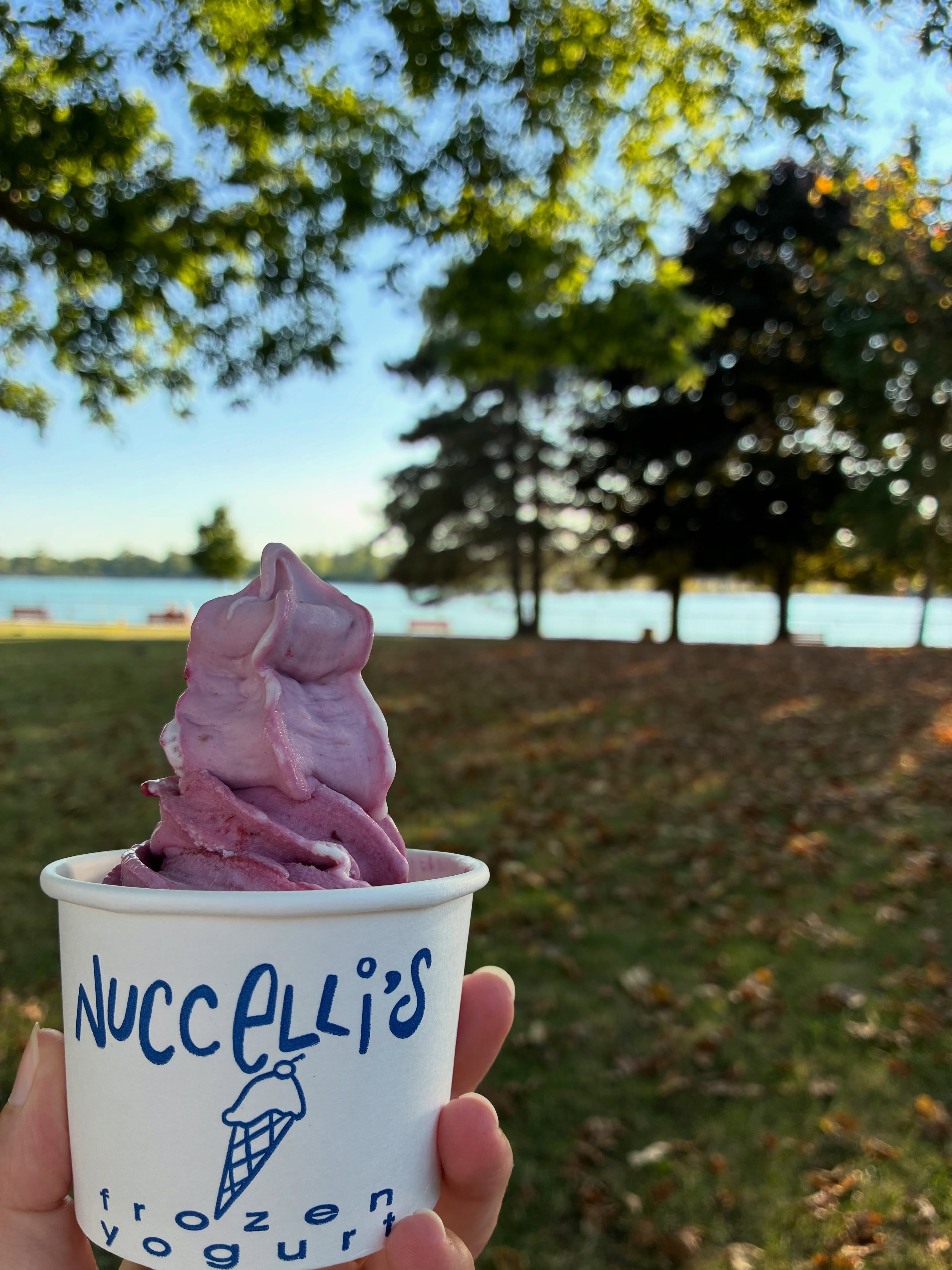Friday afternoon snack= Blackberry frozen yogurt ✨💖
📍There is so much going in downtown Amherstburg this weekend. Be sure to check out the full itinerary @visitamherstburg and don’t miss out 🎶🥳
#visitamherstburg #frozenyogurtlover #yqgeats #windsoreats