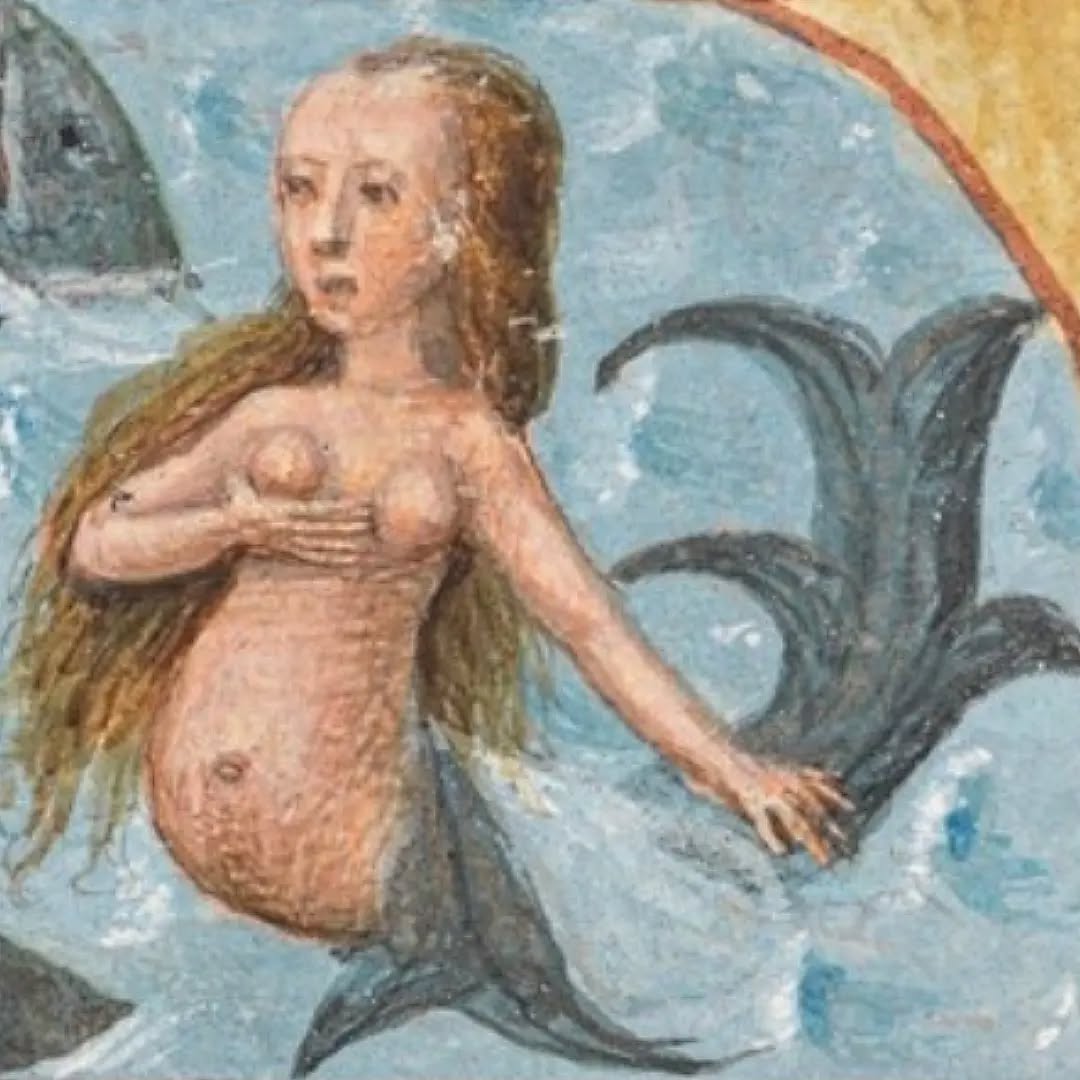 La sirène du jour dans un Livre d'Heures, vers 1500. Neuchâtel, Bibliothèque publique et universitaire, ms AF A28.
#medievalart #medievalmanuscript
#art #medieval #effervescencesmedievales