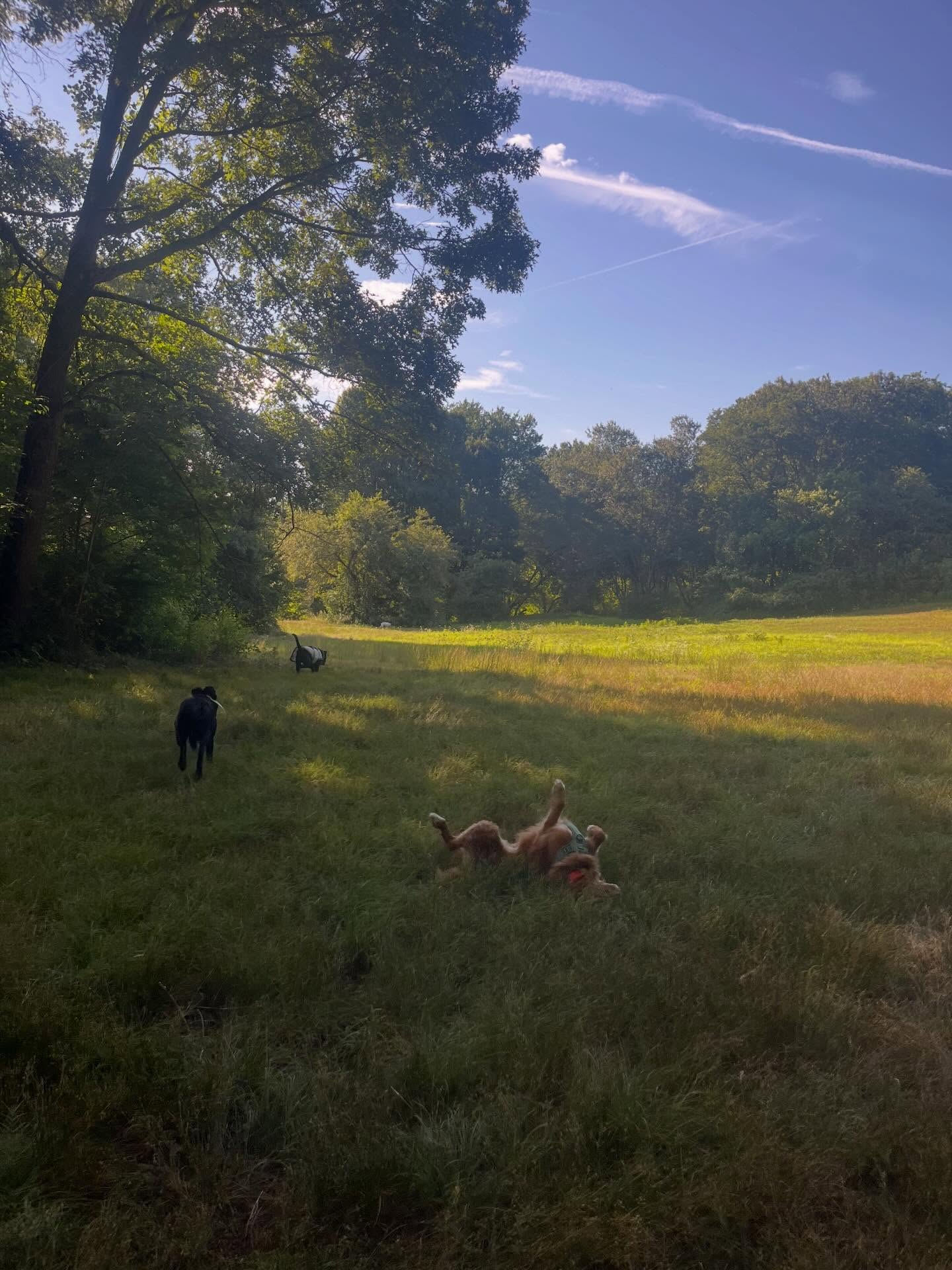 Early morning adventure โ๏ธ
