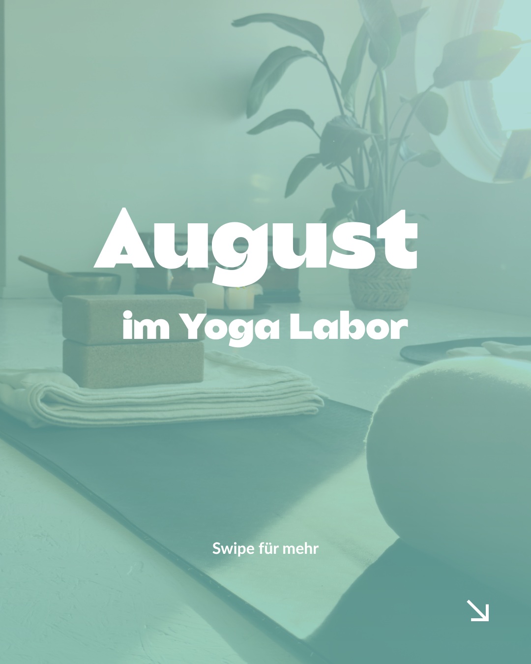 August im Yoga Labor ☀️
Der Sommer ist noch lange nicht vorbei – und im August warten wieder besondere Angebote auf dich. Egal, ob du entspannen, tiefer in deine Praxis eintauchen oder den ersten Schritt Richtung Yogalehrer:innen-Ausbildung machen möchtest.
💛 Sommer-Special
Sichere dir jetzt unsere 200h Online-Yogalehrer:innen-Ausbildung für 999 € statt 1.750 € – mit dem Code SOMMERSPECIAL26.
⏳ Nur noch bis 31.08.2026.
Alle Infos und die Anmeldung findest du auf unserer Website. Wir freuen uns auf einen gemeinsamen August mit dir! 🌿