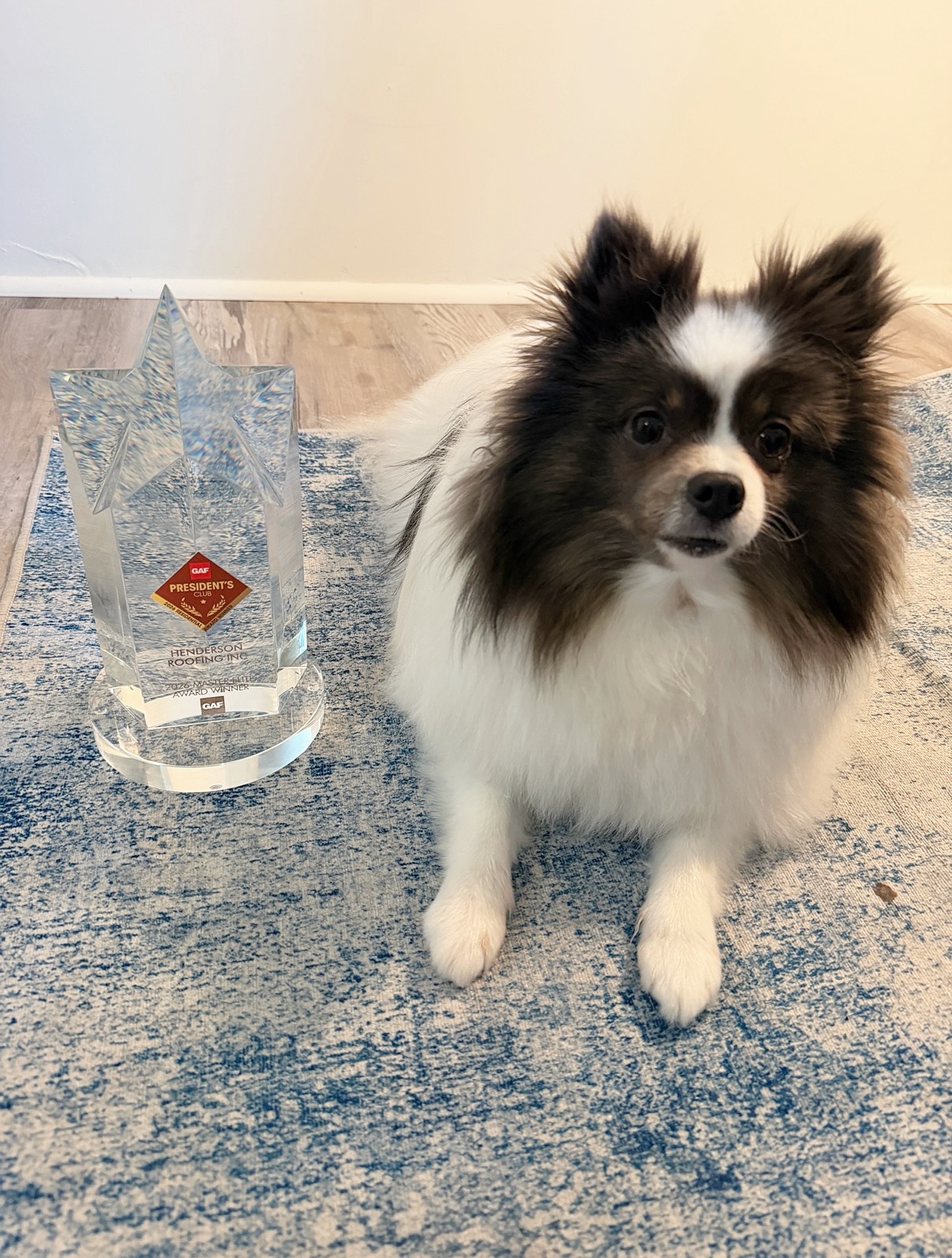 We have a visitor in the office today! Iggy came in to see the new GAF President’s Club Master Elite trophy in person. 🤩💙🏠
#myGAFroof #GAF #roofing #theshoals #huntsvilleal