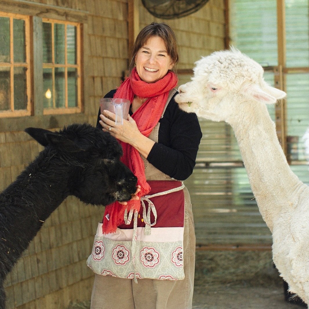 Hi, I’m Rosie.
I live on an island off the coast of Maine. I’ve shared my life with alpacas for the past 13 years; they’re all elderly now. Each one has a funny, endearing personality and they bring me so much joy.
I’m the curator of my barn, always listening for what it wants to become. I love creating beautiful spaces and meaningful experiences, and sharing them with kind, genuine people. 🤍
I’m a creative at heart. I love chocolate, good coffee, and getting lost in a great book. More than anything, I love my simple life with my family and animals. It’s a life that feels grounded, peaceful, and full of quiet joy. 🤍
Photo credit goes to @mainetinkerphotography. I’m usually not someone who feels I photograph well, but Siobhan caught this candid moment of me grabbing treats for the alpacas. It’s one of those rare photos that actually feels like me.
#thisisme #mylife #farmlife #mainelife #peaceful