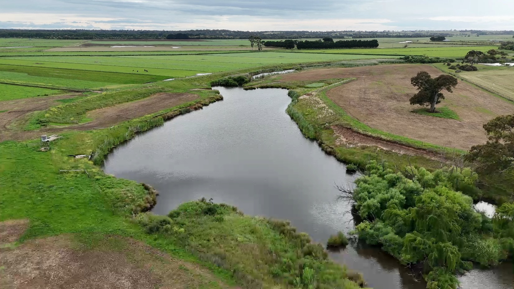 Want to help us restore the Nuntin Creek in Gippsland?
We have already fenced off 2kms, planted 6000 indigenous plants and want to improve the health of the creek further down.