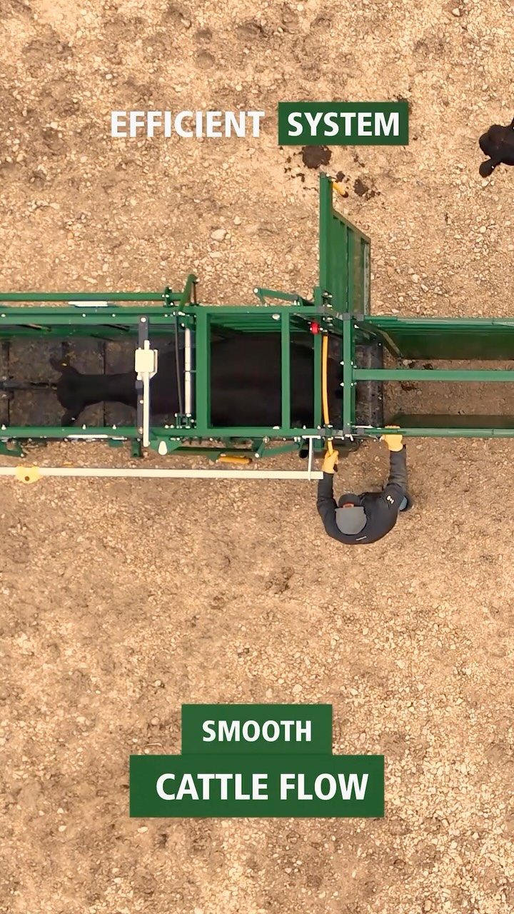 Smooth cattle flow means a more efficient operation.
Arrowquip handling equipment is designed to maximize efficiency, reduce stress, and keep cattle moving smoothly.
Work smarter. Handle better. 💪
https://www.agribestfeeds.com/products/arrowquip
#AgriBestFeeds #Arrowquip #CattleHandling #Cattlemen #RanchLife Livestock