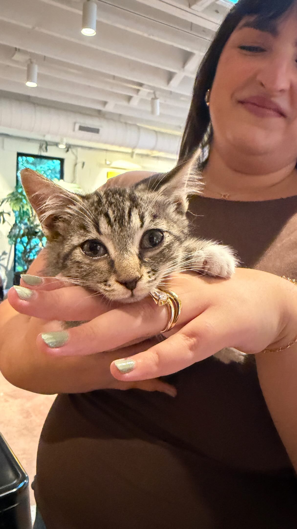 Karma is a cat purring in my lap ‘cause he needs a home! Meet your new BFF this Saturday, 8/15 from 1-4pm.
Afoptable cats and kittens from the wake county animal center with rockstar fosters from @friendsofwcac on site all afternoon! #adoptdontshop❤️