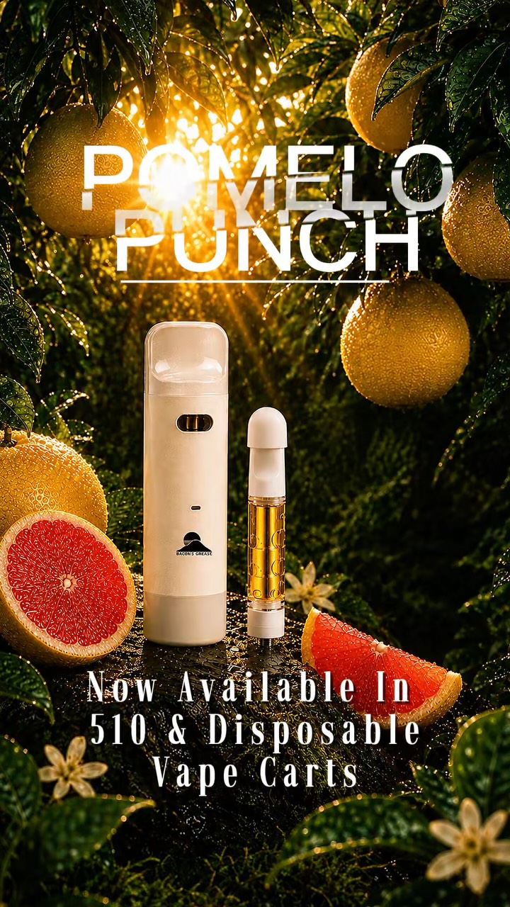 Pick your Punch 🥊 🍊 Pomelo Punch just found a new way to hit. Now available in Live Resin 510 Carts and Eco-Friendly Live Resin Disposables. Fruity. Floral. Fresh. #baconsbuds #pnwcannabis #livingorganicsoil #washingtoncannabis #prismaticbrands