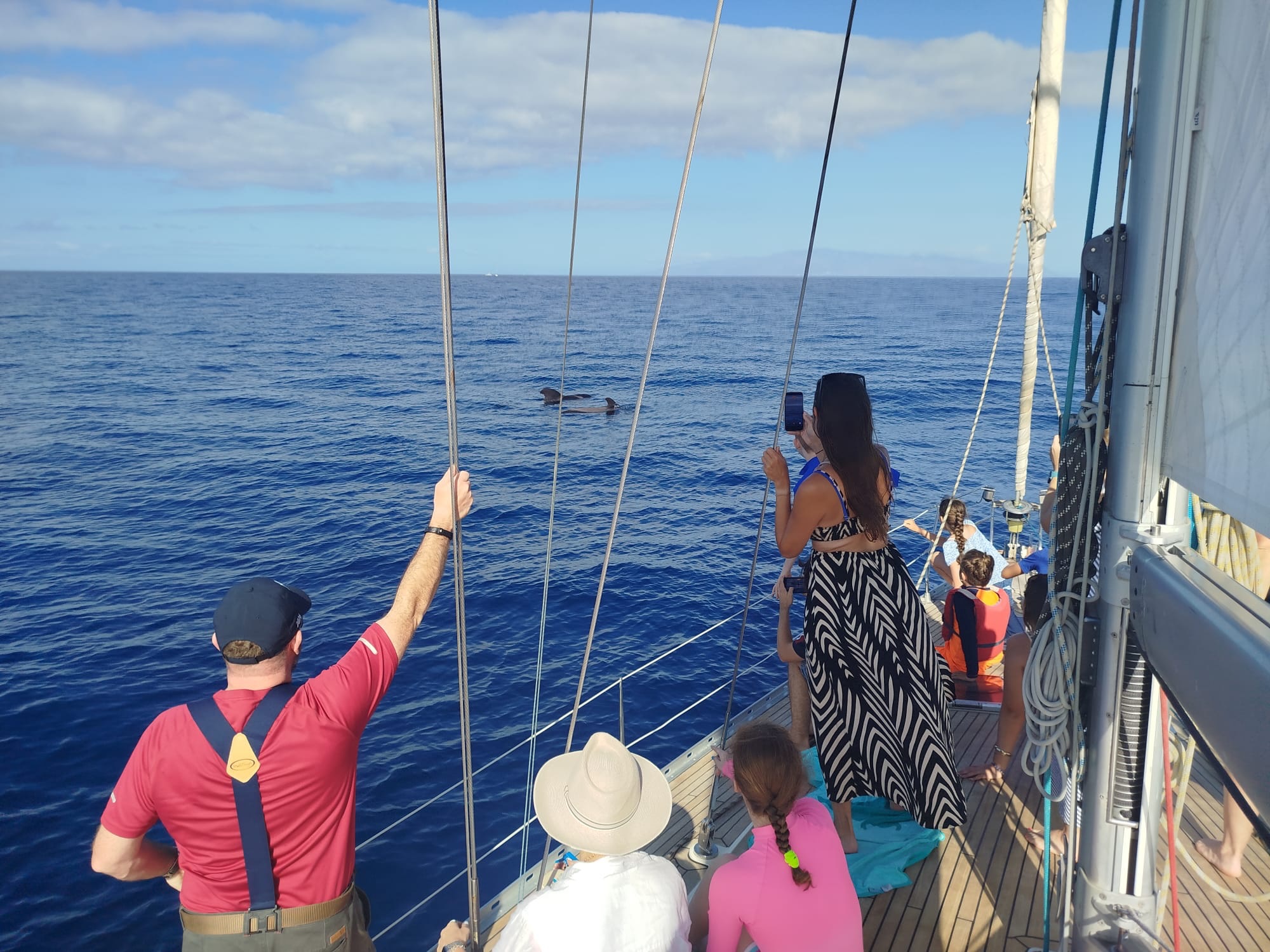 🐋 ¿Vemos ballenas todos los días?
Es una de las preguntas que más nos hacéis, y la respuesta es: prácticamente sí. 💙
En Canarias tenemos la suerte de contar con poblaciones residentes de calderones (ballenas piloto), que encuentran aquí alimento y unas condiciones ideales para vivir durante todo el año.
Por eso, cuando salimos al mar, no estamos simplemente buscando ballenas… estamos visitando su hogar. 🌊🐋
#Ballenas #Calderones #BallenaPiloto #Canarias #VidaMarina AvistamientoDeCetáceos