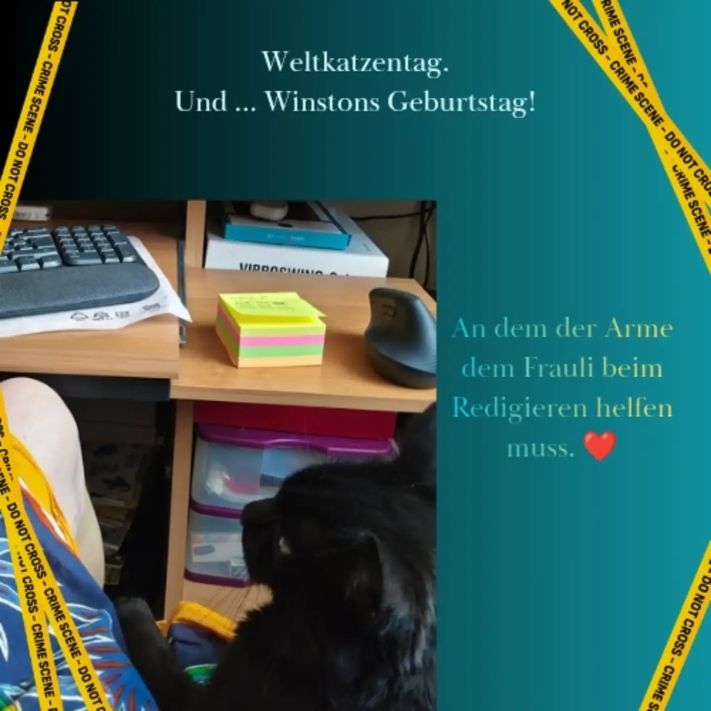 Wer mir schon länger folgt, erinnert sich vielleicht: Katerchen Winston hat heute, am Weltkatzentag Geburtstag!
Er hat sich sofort bereiterklärt, mir beim Redigieren meines neuen Krimis zu helfen.
Was täte ich bloß ohne ihn?🥰🐈⬛
Und ihr? Seid ihr Team Hunde oder Team Katzen? Oder - wie ich - beides?