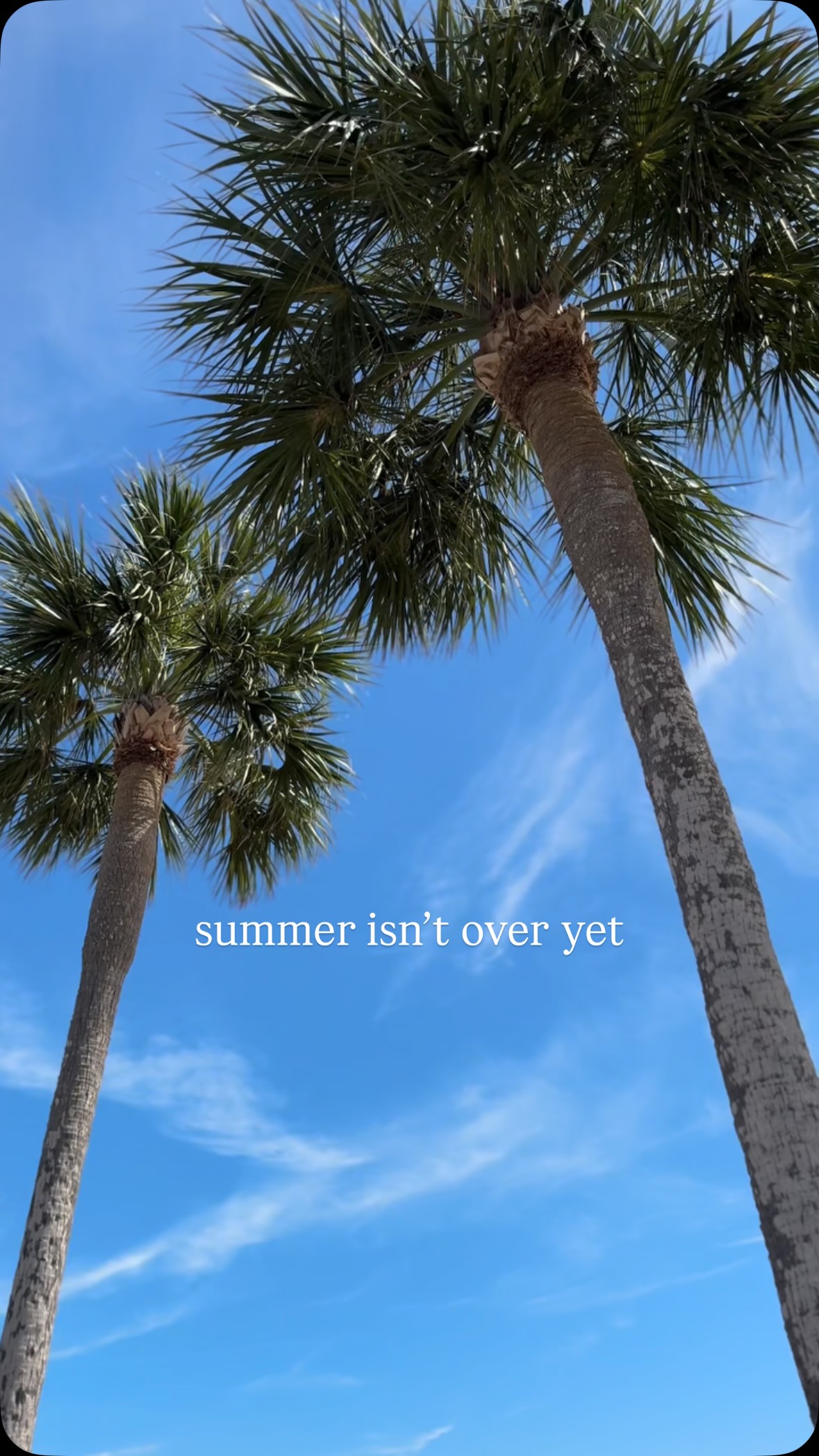 summer forever 🩵 FL
It’s not too late to book that Florida beach vacation you’ve been thinking about! We still have plenty of sunny days left ☀️
Are you ready for more beach days or are you ready for fall?!
•
•
•
#visitflorida #floridalife #clearwaterbeach #beachdays #endlesssummer