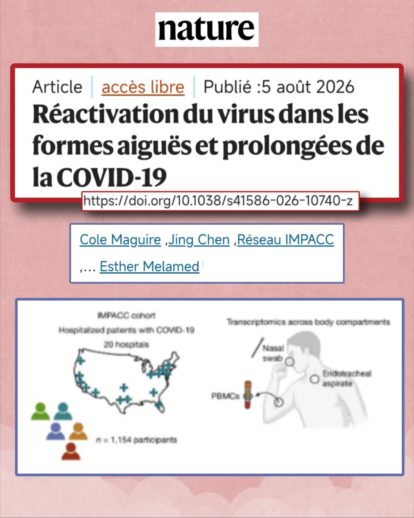 🧬🧵Et si une infection sévère par le #SARSCoV2 réactivait aussi des virus persistants dans l’organisme ?
Une étude publiée dans Nature analyse ce phénomène chez 1154 personnes hospitalisées pour #COVID19
Les résultats montrent des liens entre réactivation virale, sévérité de la maladie et certaines manifestations persistantes.
🔬Dans cette étude multi-omique, les chercheurs ont analysé des données longitudinales multi-omiques issues de 1 154 patients hospitalisés pour #COVID19, dans le cadre de l’étude #IMPACC.
🎯Objectif : étudier les réactivations de virus persistants, leur dynamique au cours de la maladie et leurs liens avec la réponse de l’organisme.
🦠Plusieurs virus peuvent se réactiver
Pendant la phase aiguë du COVID19, les chercheurs observent la réactivation de plusieurs virus persistants, notamment au sein des familles :
🔹 Herpesviridae : EBV, CMV, HSV-1/2…
🔹 Anelloviridae
Ces virus présentent des dynamiques temporelles différentes au cours de la maladie.
🔥La réactivation virale est associée à une forme de COVID19 plus sévère et à différentes signatures de la réponse immunitaire et métabolique.
Les chercheurs observent également ces réactivations chez des personnes immunocompétentes, et pas uniquement chez des patients présentant une immunodépression.
🧬Et après la phase aiguë ?
Certaines signatures virales sont encore retrouvées pendant la convalescence.
Un signal intéressant concerne les Anelloviridae : leur détection est associée à un profil de symptômes marqué par des symptômes physiques et de la fatigue persistants.
🔎Une piste pour comprendre le CovidLong ?
Les auteurs proposent que la détection des Anelloviridae puisse constituer un biomarqueur potentiel des symptômes physiques persistants dans le PASC.
Ils retrouvent également des signatures immunitaires associées à ces virus, notamment des voies liées à la dégranulation des neutrophiles.
⚠️Cette étude apporte des éléments importants sur les interactions entre SARS-CoV-2, virus persistants, réponse immunitaire et évolution clinique.
⏬Suite en commentaire ⏬