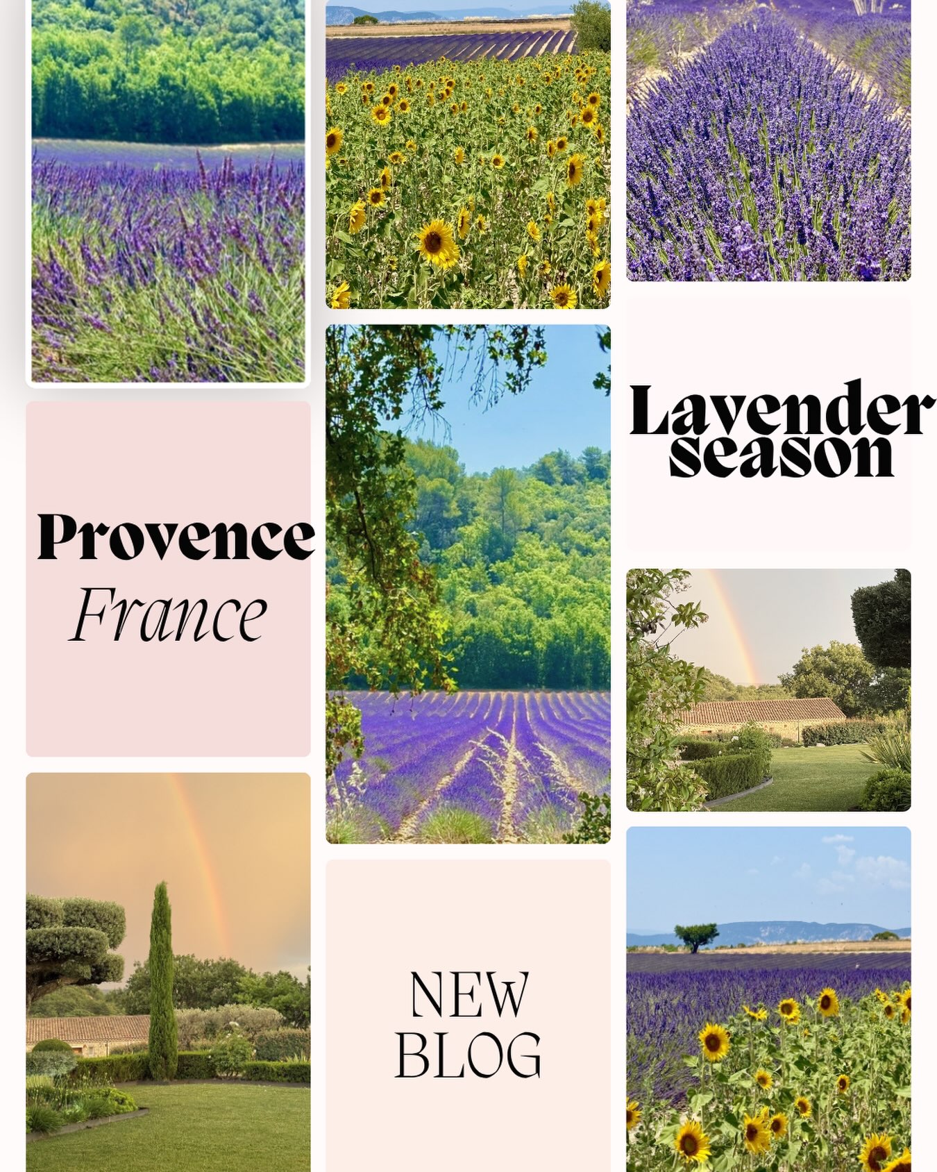 Let’s visit the lavender fields of Provence! Check out the new blog www.WorldwideWizas.com #provence #lavenderfields #provencealpescôtedazur #provencefrance #visitprovence @bastidesaintgeorges