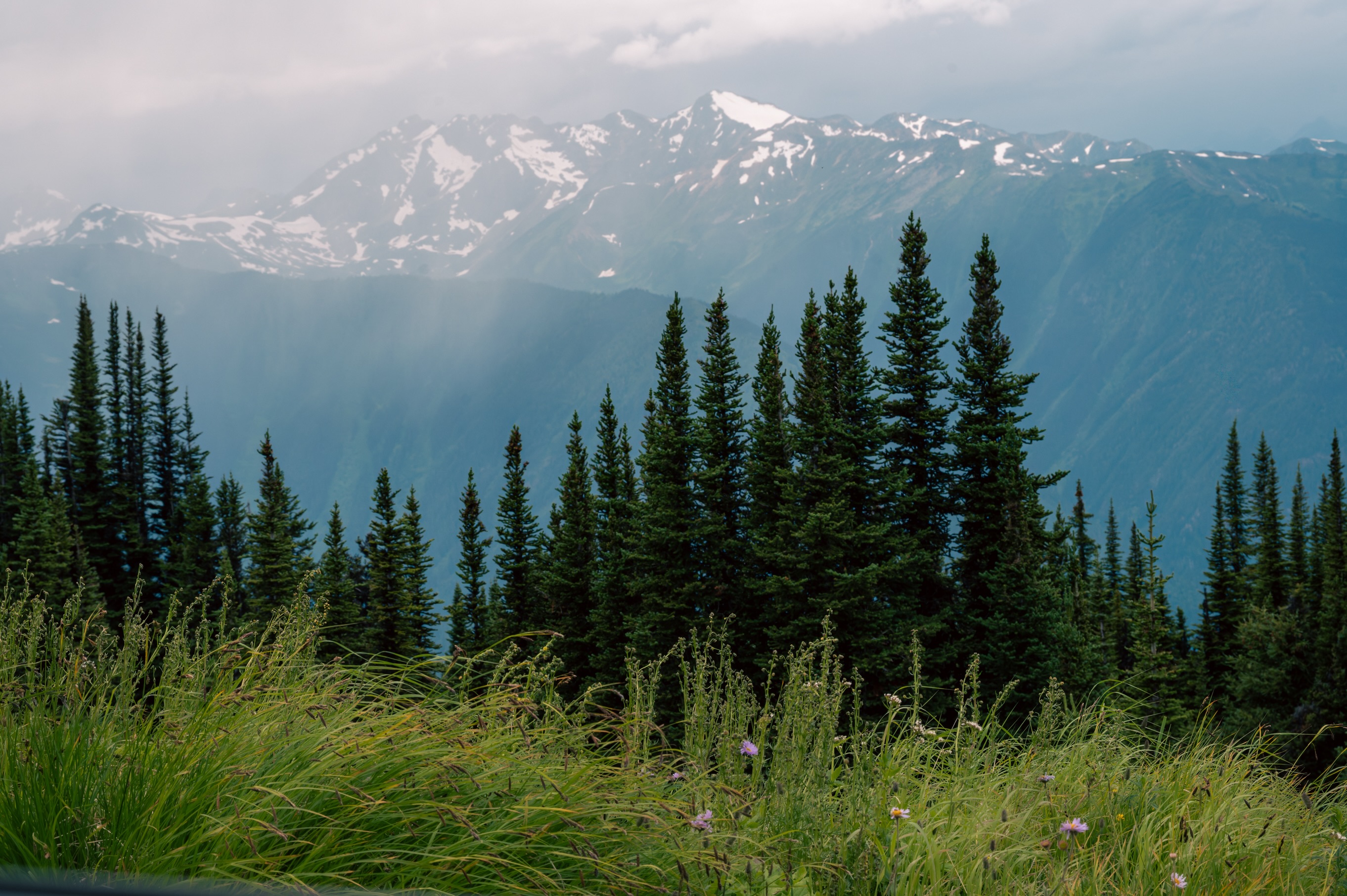 What a wonderful secret place to spend the night near Pemberton, BC! Also picked a hitchhiker on the way down.