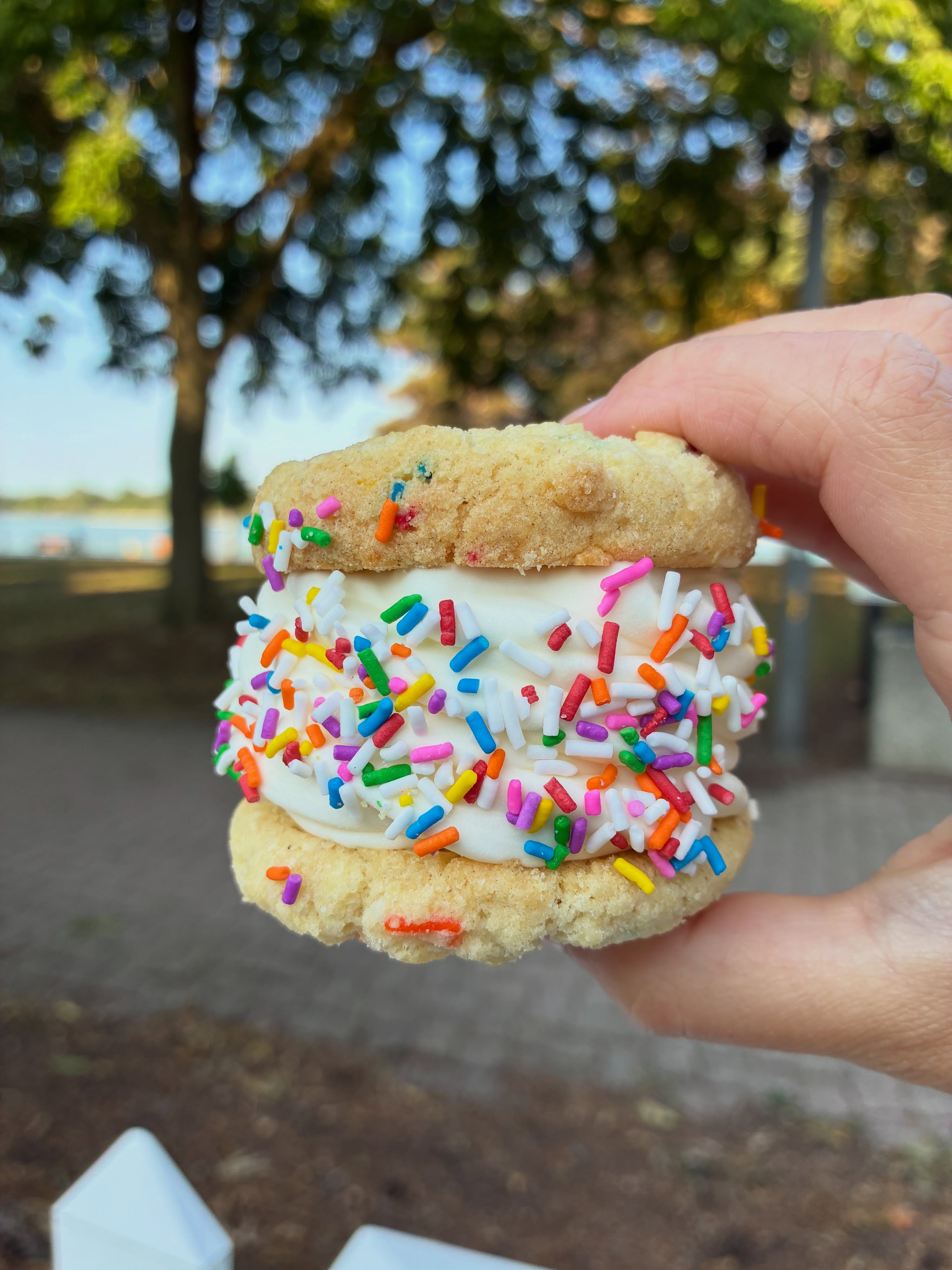 🍪The BestEver Ice Cream Cookie Sandwiches are HERE for a little while longer! Cookies baked with love by our amazing local bakery @the.panetteria , our soft serve ice cream, rolled in sprinkles 😍
*available to order on our website www.nuccellis.com OR available at the store to grab n go🙌
#IceCream #YQGBusiness #YQGFood
#Amherstburg #ᴇxᴘʟᴏʀᴇᴘᴀɢᴇ