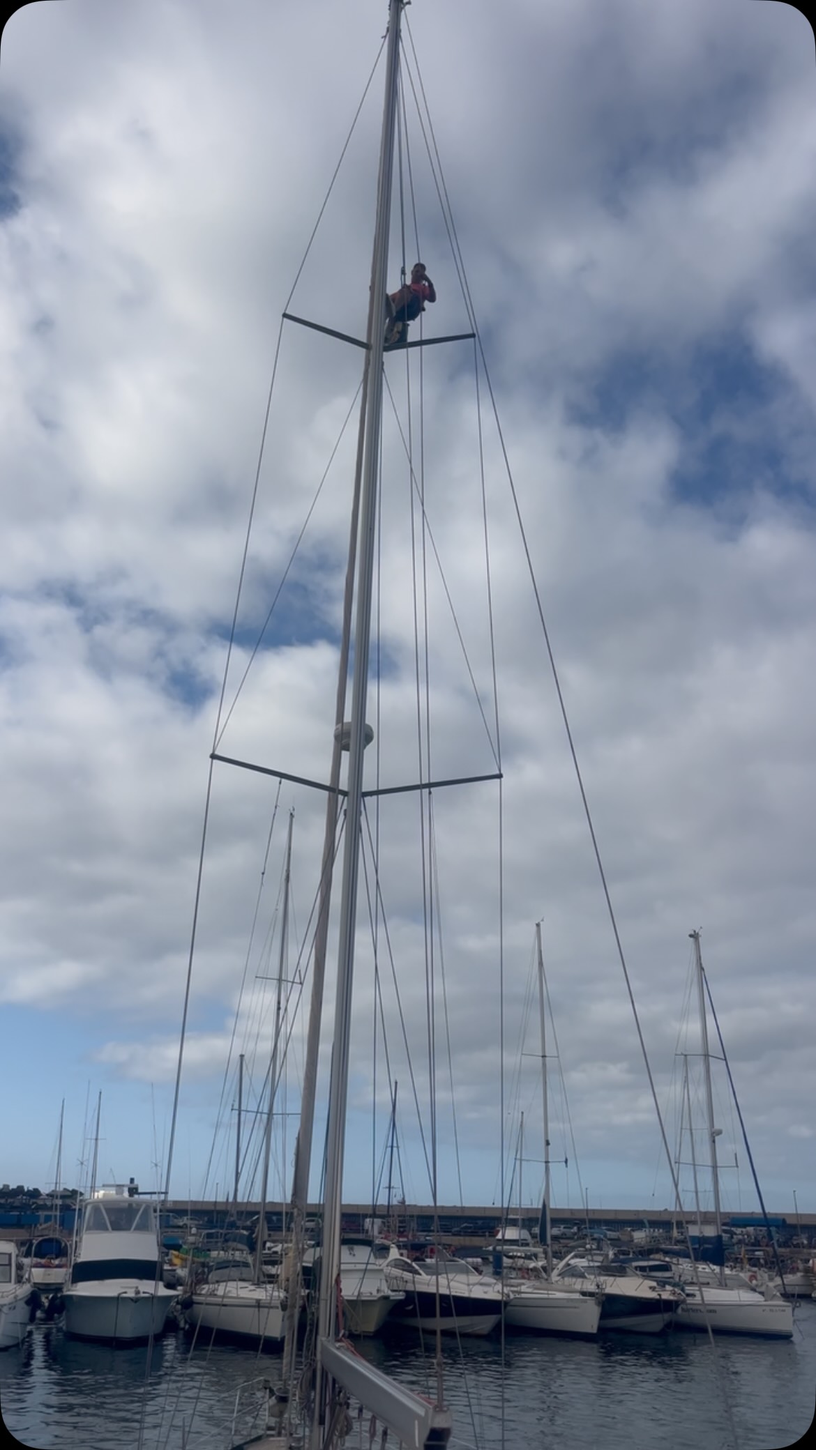 On a sailboat, you know how it is… sometimes you just have to climb all the way to the top of the mast. ⛵️😏
It’s not always out of necessity; sometimes it’s just about being brave, holding on tight, and getting the job done. 😂