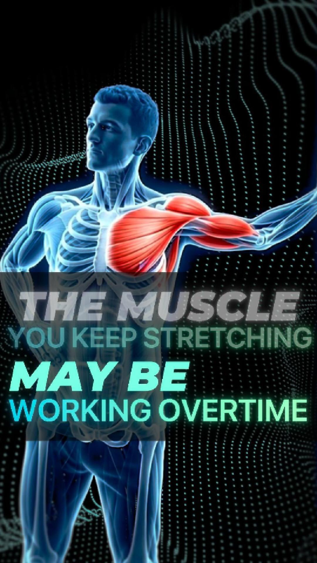 Not every tight muscle needs more stretching.
Sometimes it simply needs less responsibility.
If you are tired of the guesswork to solve your tightness, book in a FREE discovery visit and let’s figure out exactly what is going on.