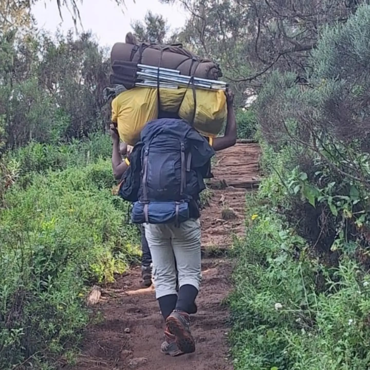 🎒 New on the Blog: Kilimanjaro Packing List
Packing for Kilimanjaro isn't about bringing everything — it's about bringing the right things. 🏔️
Layers, hiking boots, rain gear, a good daypack, cold-weather clothing and the right equipment all matter when you're trekking through Kilimanjaro's different climate zones.
And don't worry if you don't own everything: selected equipment can also be rented locally in Moshi.
👉 Find our complete Kilimanjaro Packing List via the link in our bio.
Come prepared. We'll check the rest.
Pole pole towards the Roof of Africa! 🇹🇿
#KilimanjaroPackingList #Kilimanjaro #ClimbKilimanjaro #MountKilimanjaro #TanzaniaTravel Trekking GenesAdventures