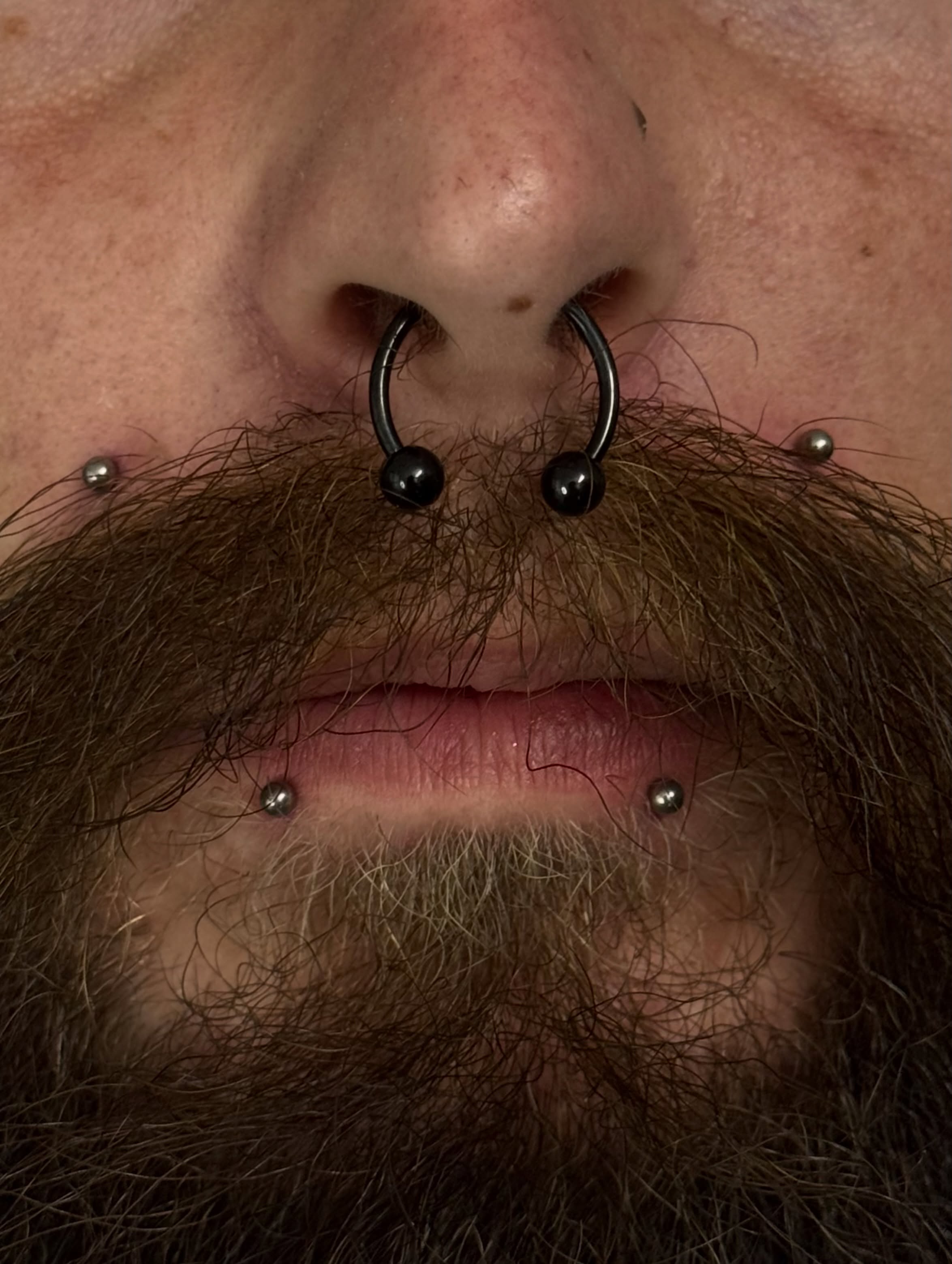 High Monroes & Snake Bites von Bence😇👀
Wahlenstrasse 7, 93047 Regensburg
www.silvertattoo.de
#piercing #monroepiercing #pierced #regensburg #piercer