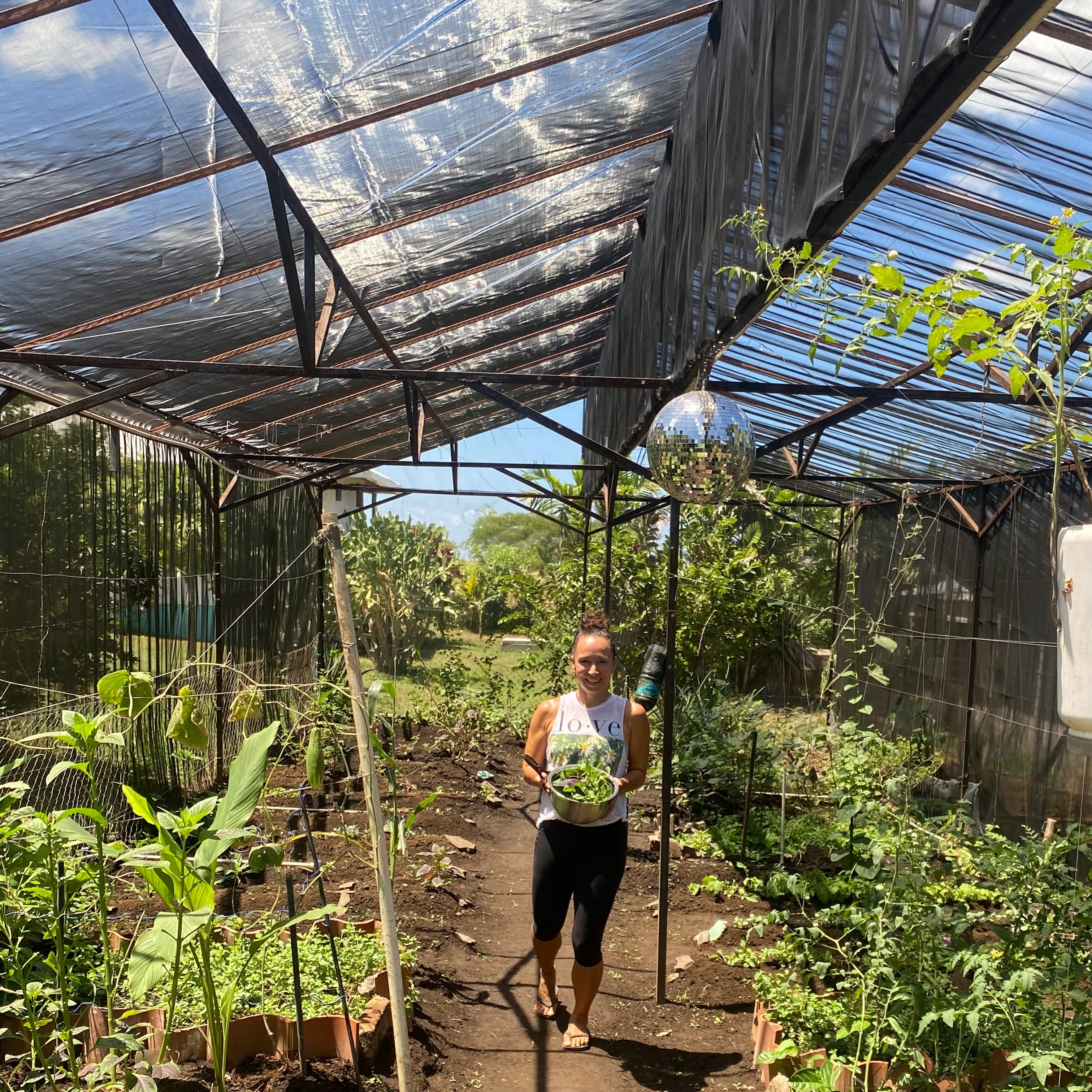 Our gardens are flourishing again! This is happiness (and power) for me. 😋💪🌿
Grateful for passionate gardeners and disco ball vibes 🪩😅
#eatfromtheland
#chemicalfreefood
#pickyourlunch
#chlorophyll
#healthcenter