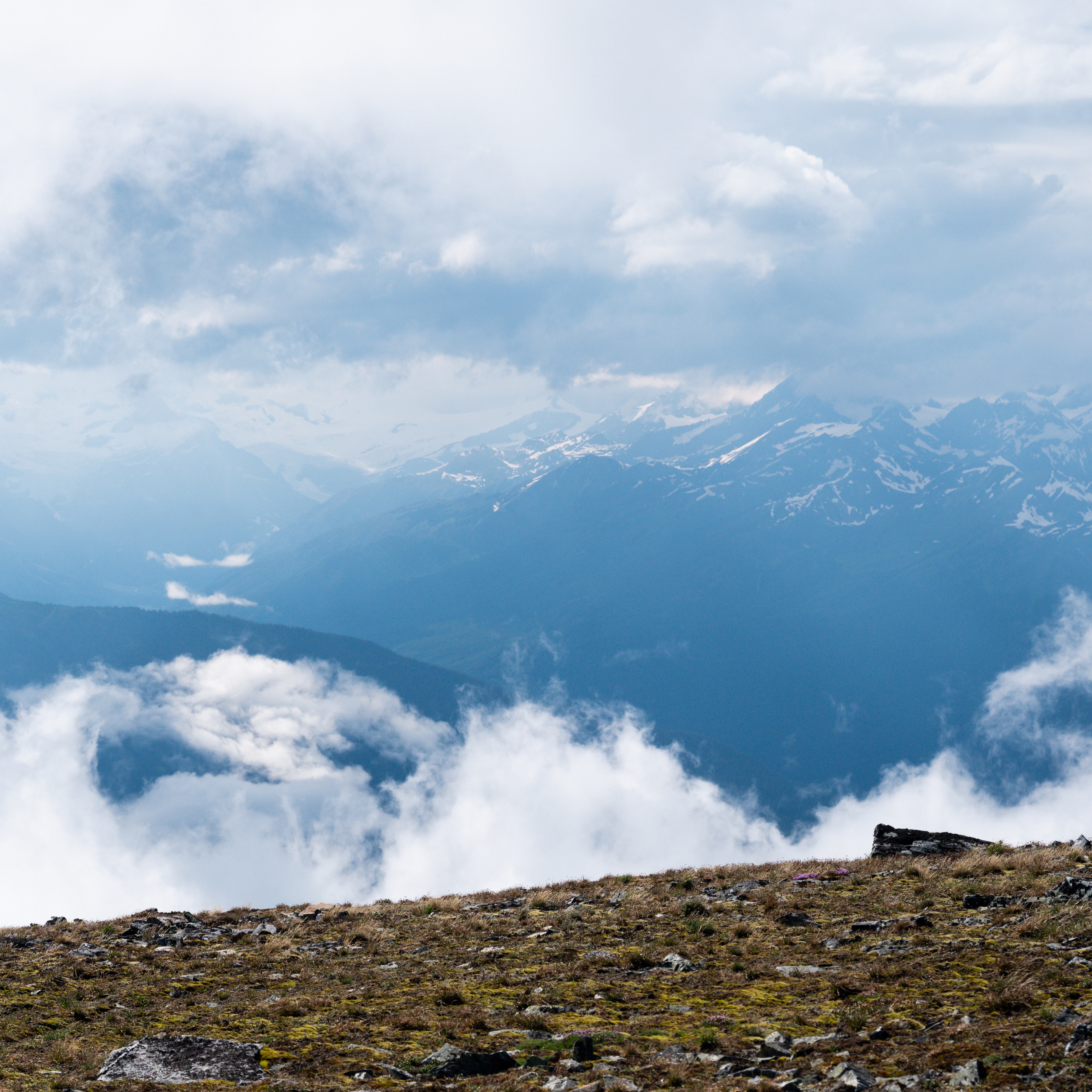 One of the highlights of this summer for sure was getting our 4x4s high up in the mountains, waiting through the storm and feeding some bugs on tte way back.
#explorebc #offroadtrip
@dmytroruksha