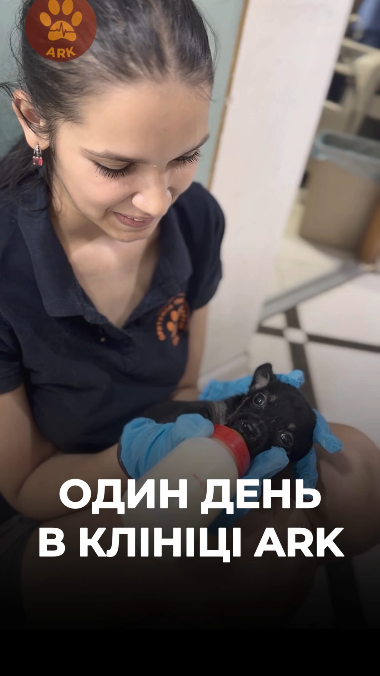 Так проходять будні клініки ARK
This is what a typical day looks like at the ARK Clinic.
Зробити донат можна за посиланням у біо чи в коментарях 👉
You can make a donation via the link in our bio or in the comments 👉