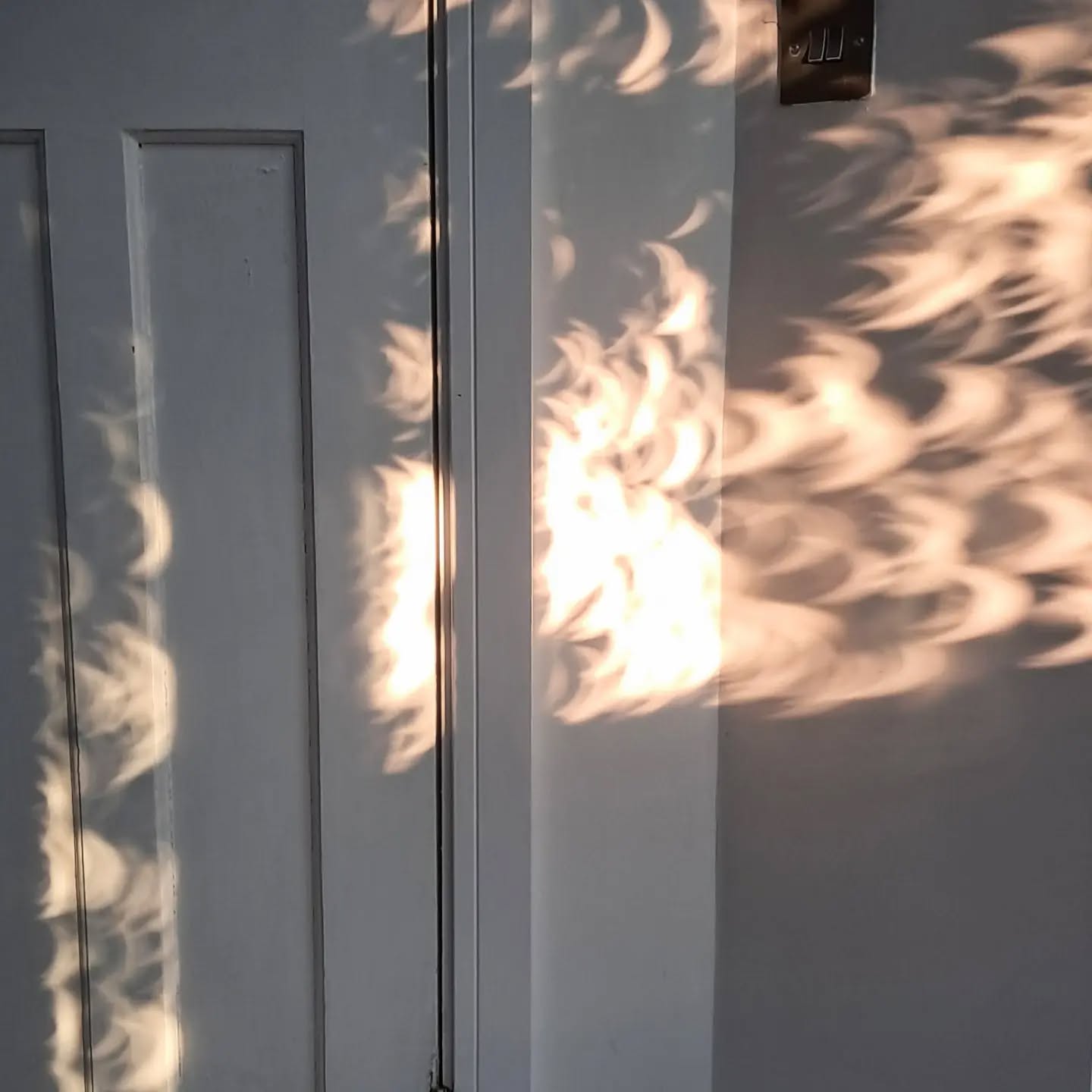 Strangely eclipse throws this pattern on to my door.. #eclipse #eclipse2026 #lunareclipse