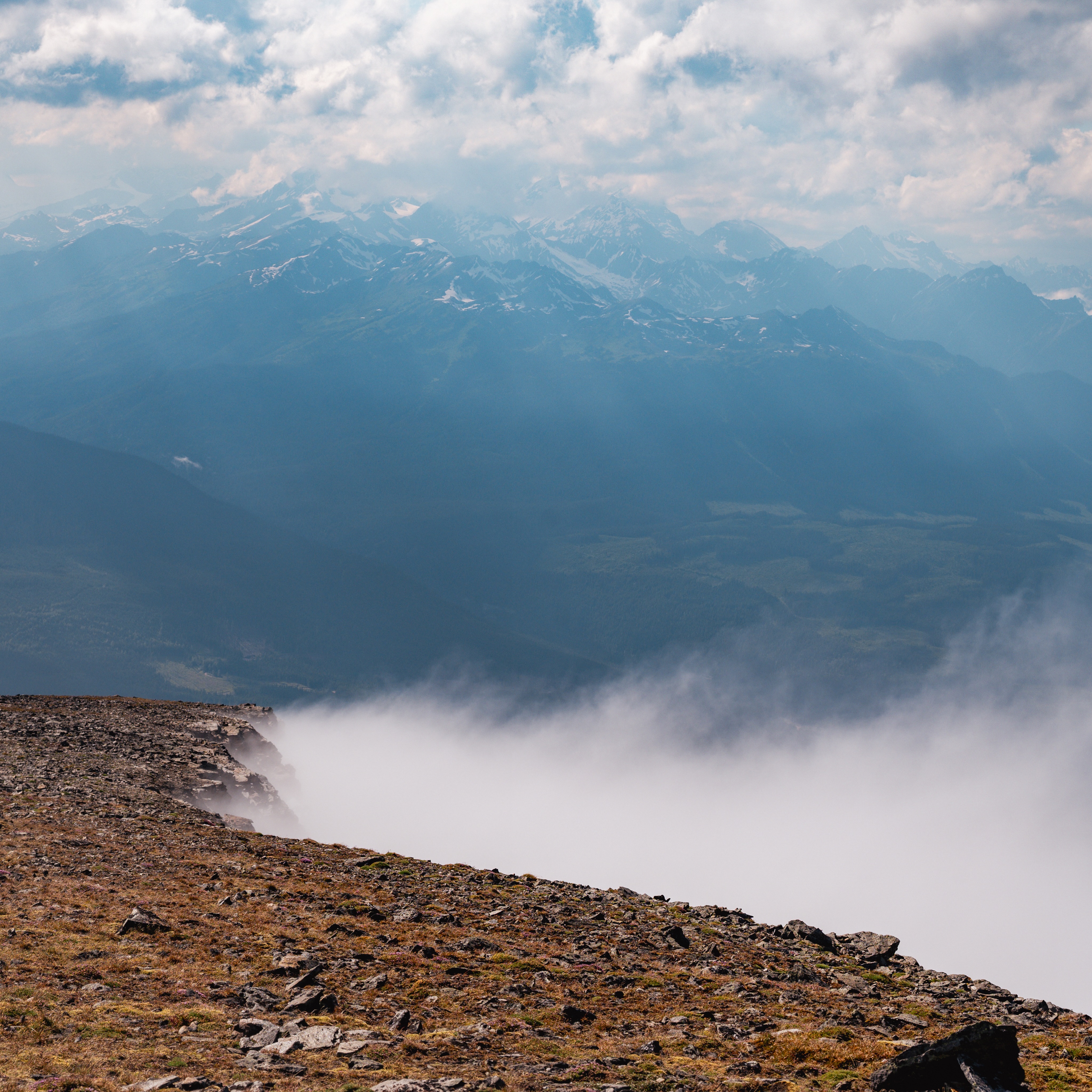 One of the highlights of this summer for sure was getting our 4x4s high up in the mountains, waiting through the storm and feeding some bugs on tte way back.
#explorebc #offroadtrip
@dmytroruksha