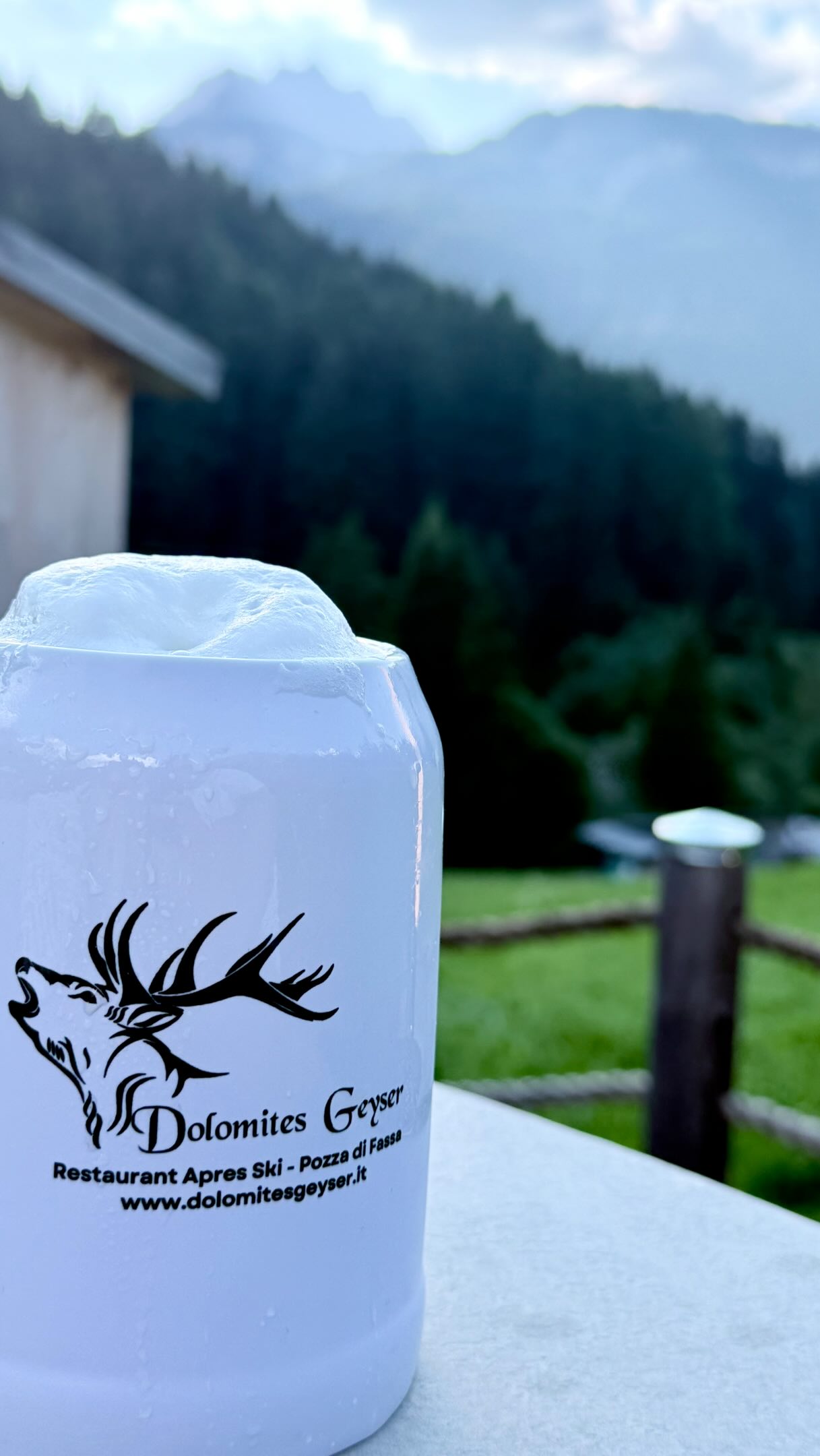 Ci sono sempre ottimi motivi per bere una birra. 🍺
E poi ci sono:
“Solo una e vado.”
“Domani mi alzo presto.”
“A casa ho detto che ero già partito.”
Fabio non giudica.
Fabio versa. 😂🍺
E ti fa compagnia!
Mandalo a quello che è “già partito” da almeno 40 minuti.
#DolomitesGeyser #PozzadiFassa #ValdiFassa #Birretta