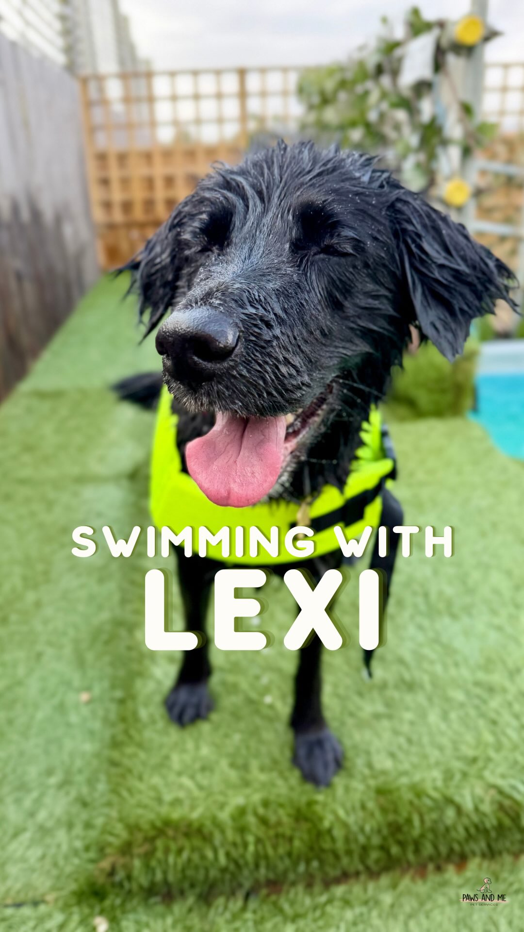 When the heatwave hits, it’s time to make a splash! 🐶💦 Keeping cool, having fun, and learning some serious swimming skills! Join Lexi’s session!
#Dogsofinstagram #doglover #dogs #dogwalker #essexdogwalker